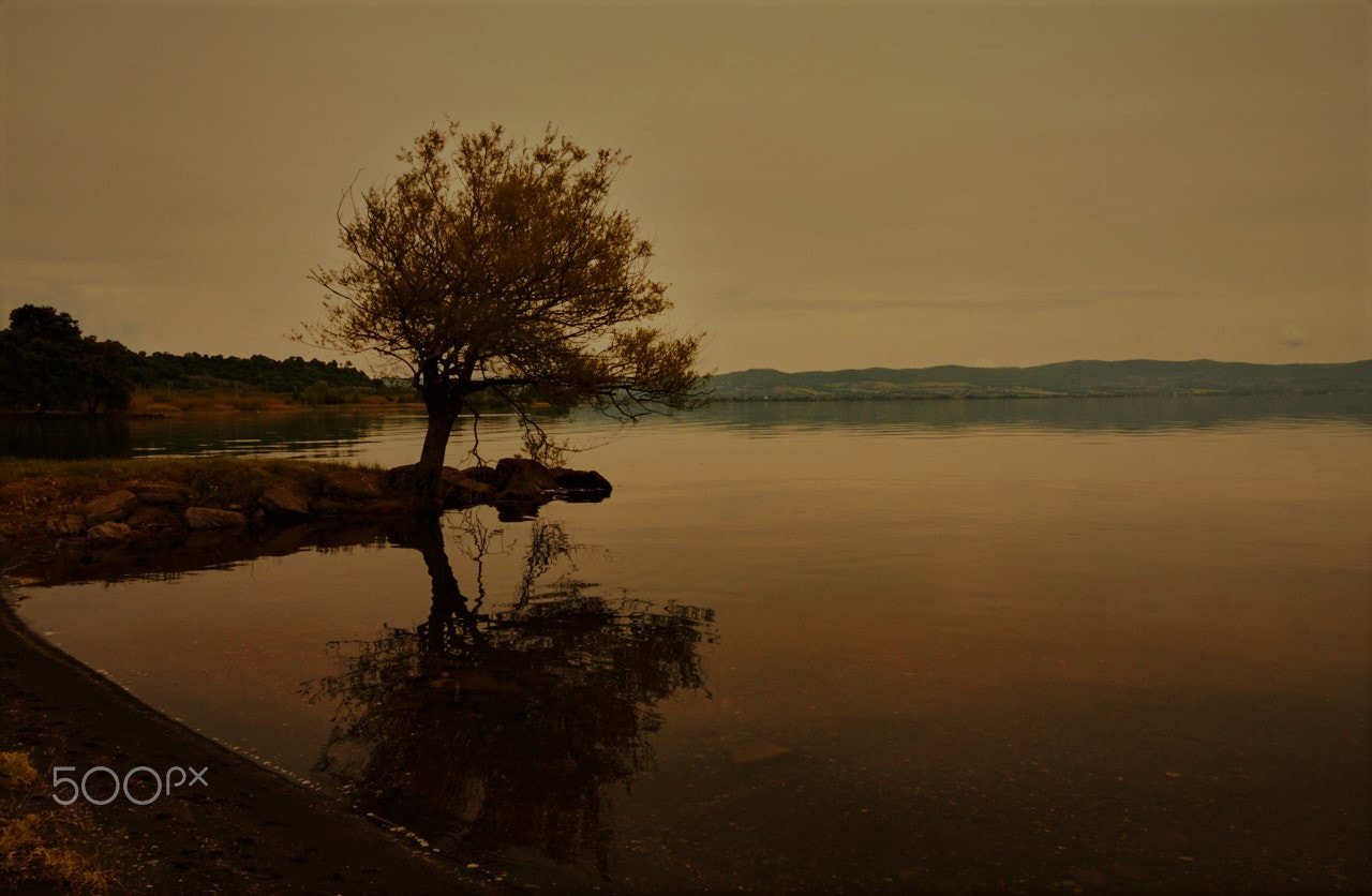 Canon EOS 550D (EOS Rebel T2i / EOS Kiss X4) sample photo. Tamonto sul lago di bolsena photography