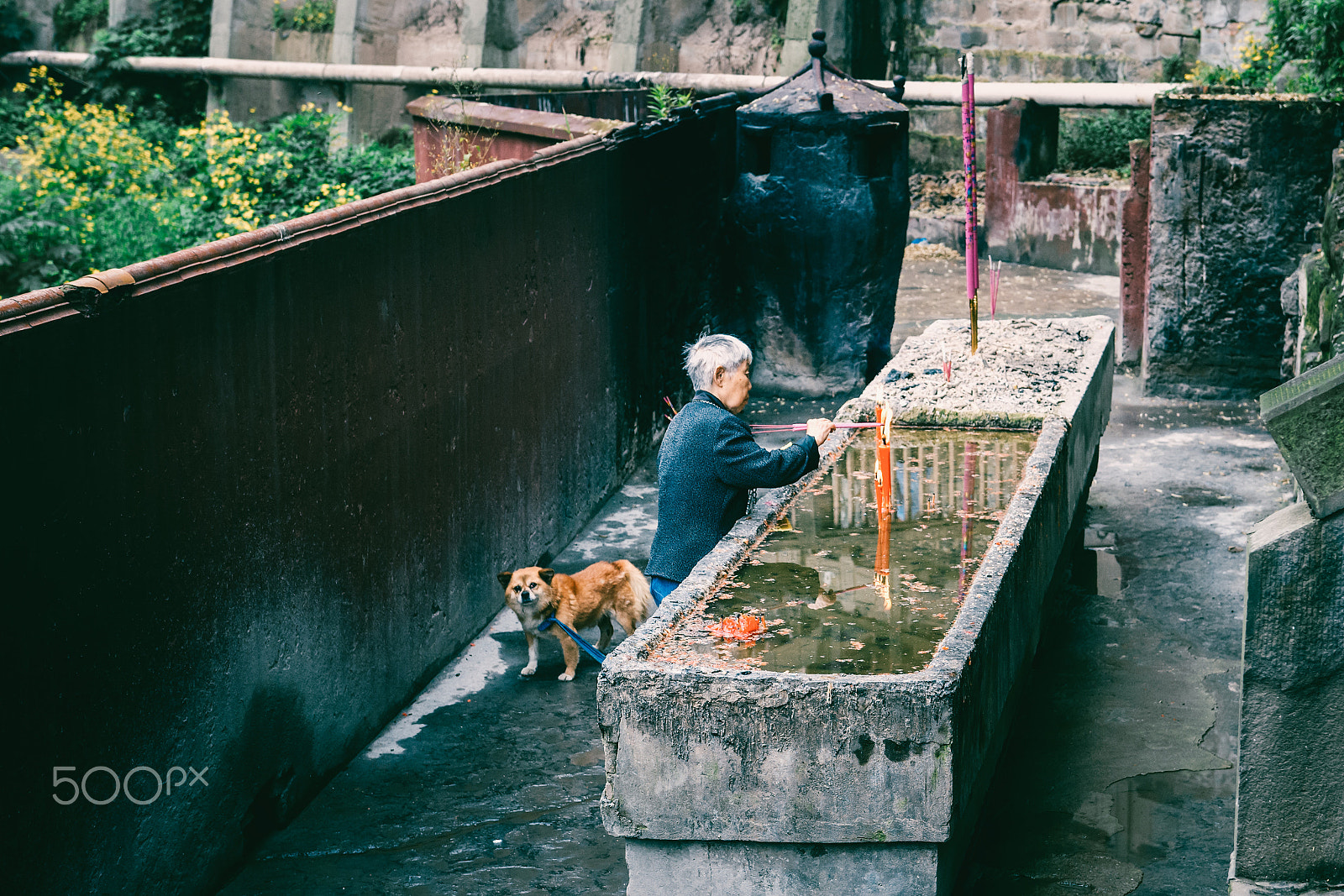 Pentax K-5 IIs sample photo. Street 895#prayer and her dog photography