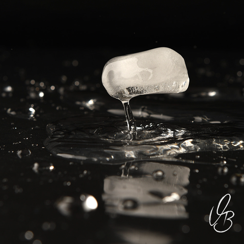 Nikon AF-S Nikkor 24-70mm F2.8G ED sample photo. Icecube #2 photography