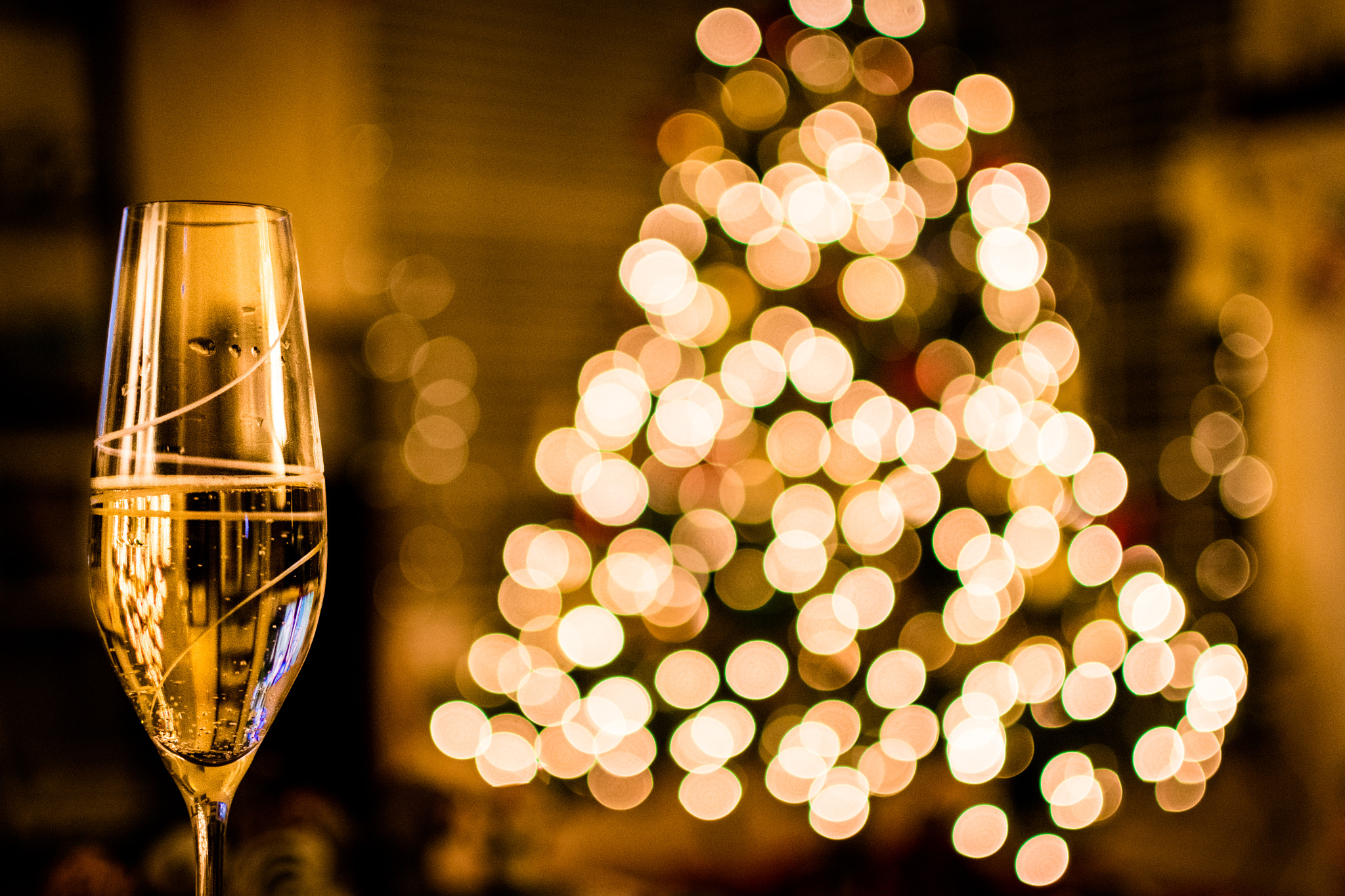 Nikon D500 + Nikon AF-S DX Nikkor 35mm F1.8G sample photo. Happy holidays photography