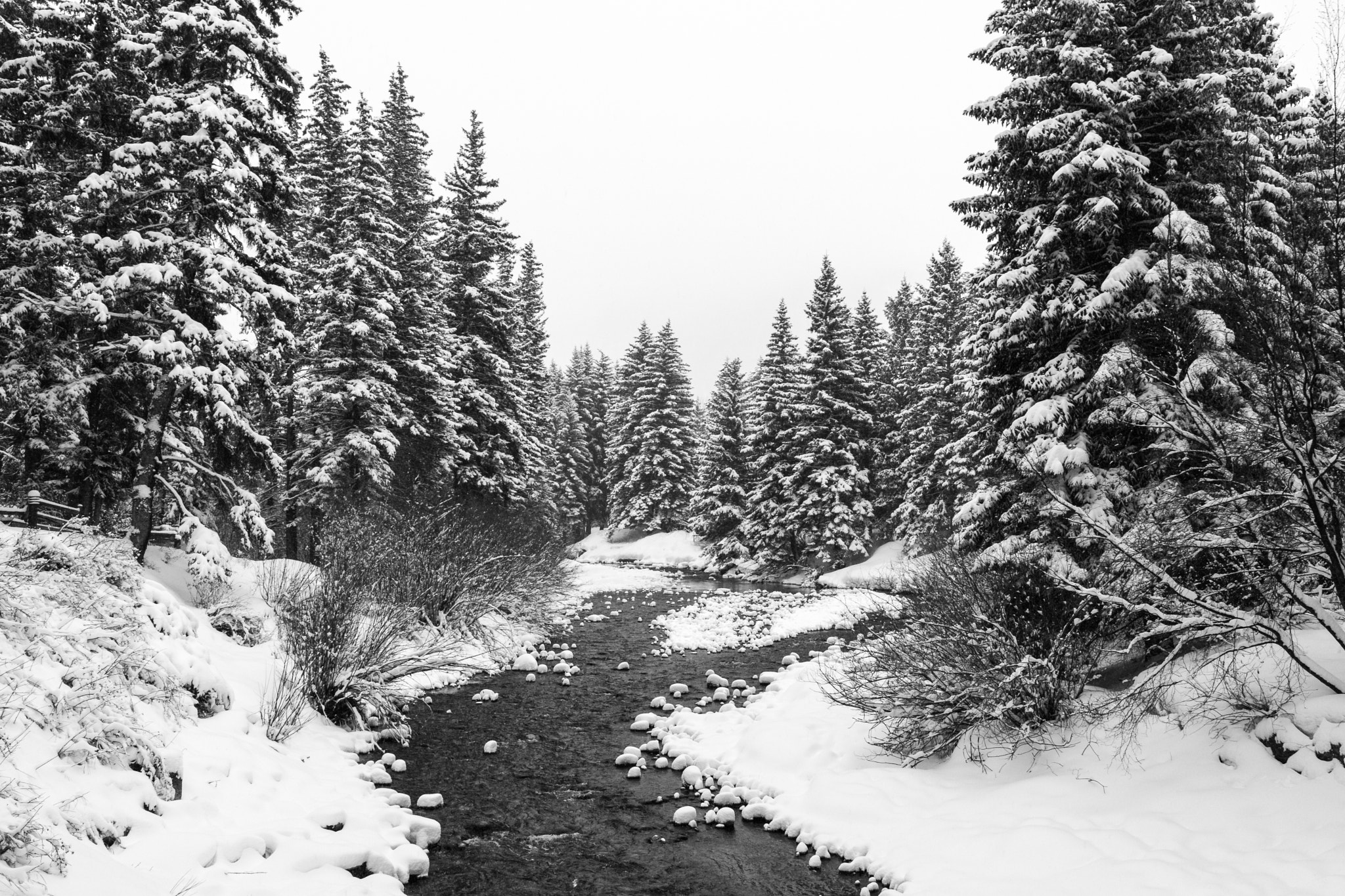 Nikon D500 sample photo. Down the river photography