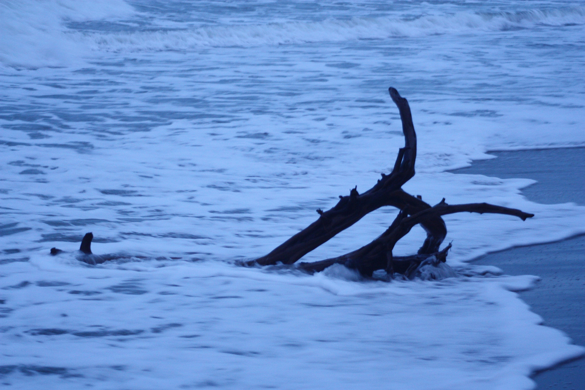 Canon EF 80-200mm F4.5-5.6 II sample photo