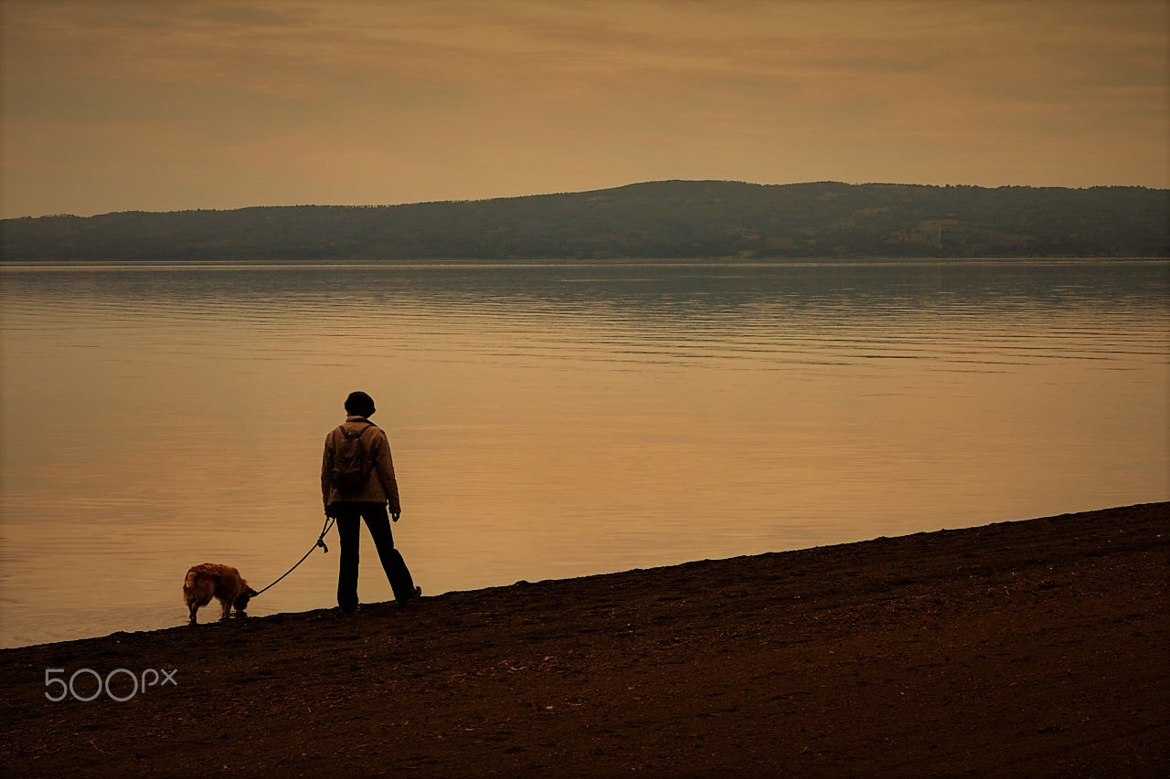 Canon EOS 550D (EOS Rebel T2i / EOS Kiss X4) sample photo. Tramonto sul lago di bolsena photography