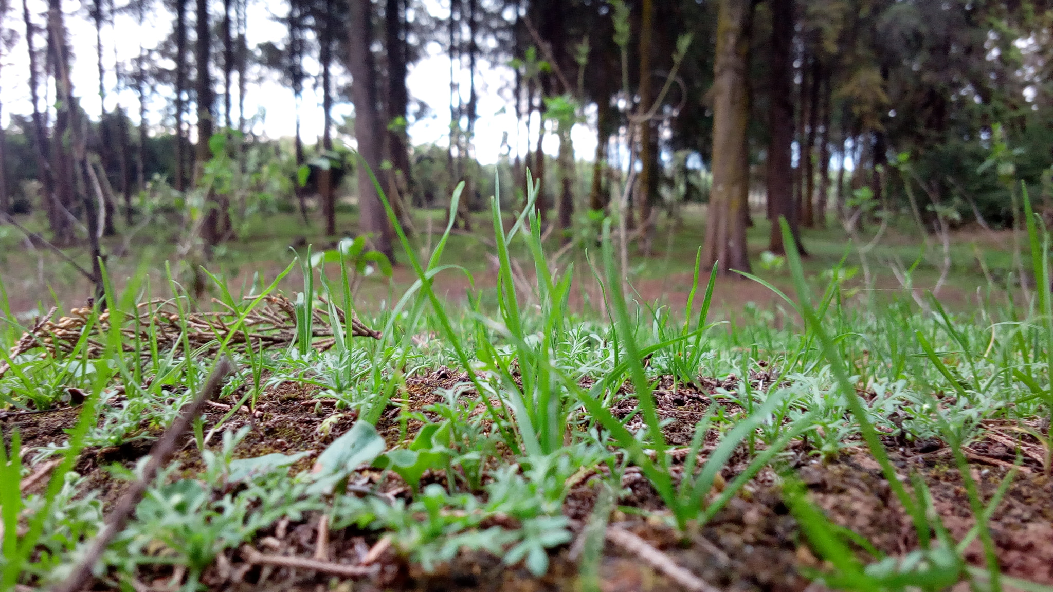 Infinix HOT 4 sample photo
