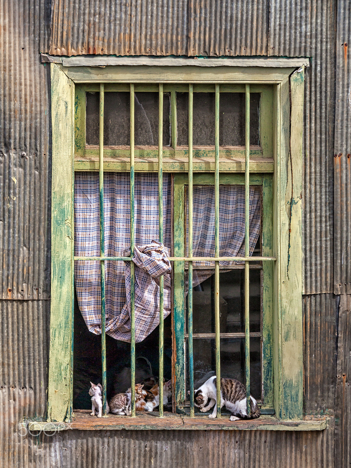 Canon EF-S 18-200mm F3.5-5.6 IS sample photo. Window photography
