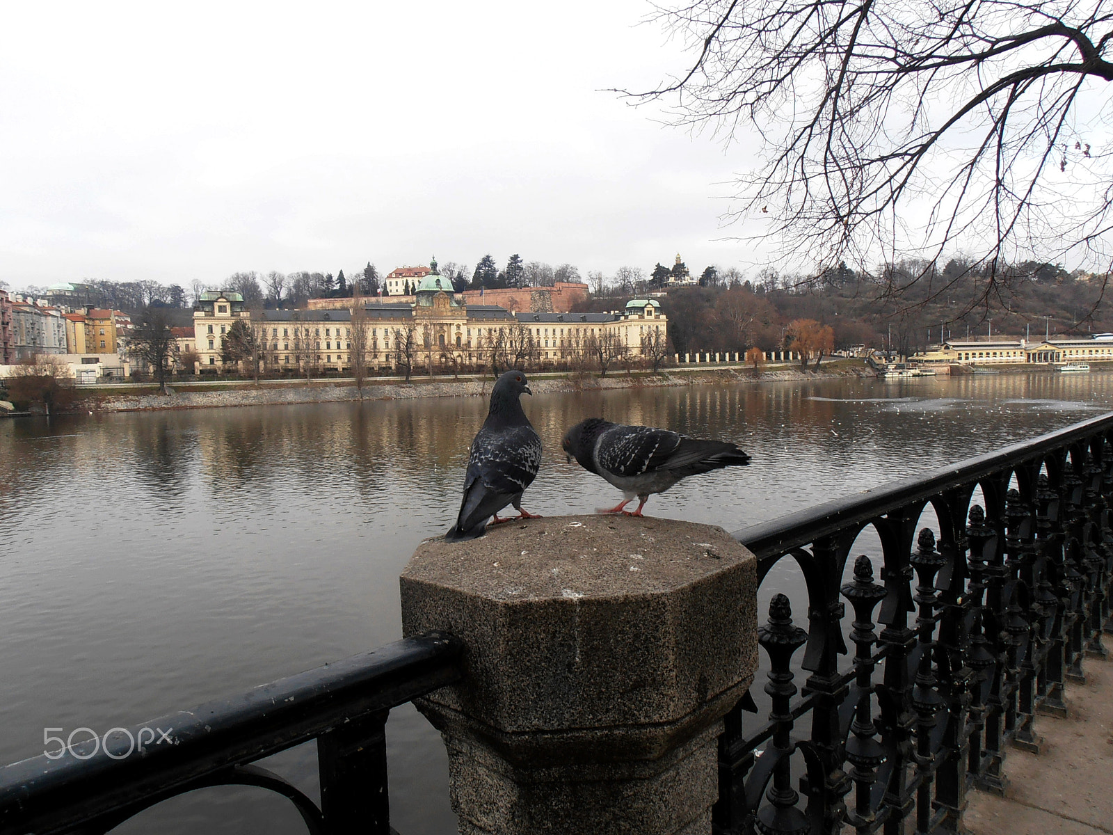 Olympus VR310,D720 sample photo. Date in prague photography