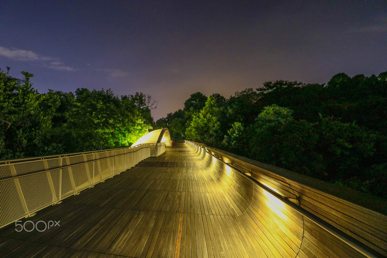 Canon EOS 760D (EOS Rebel T6s / EOS 8000D) sample photo. Henderson bridge photography