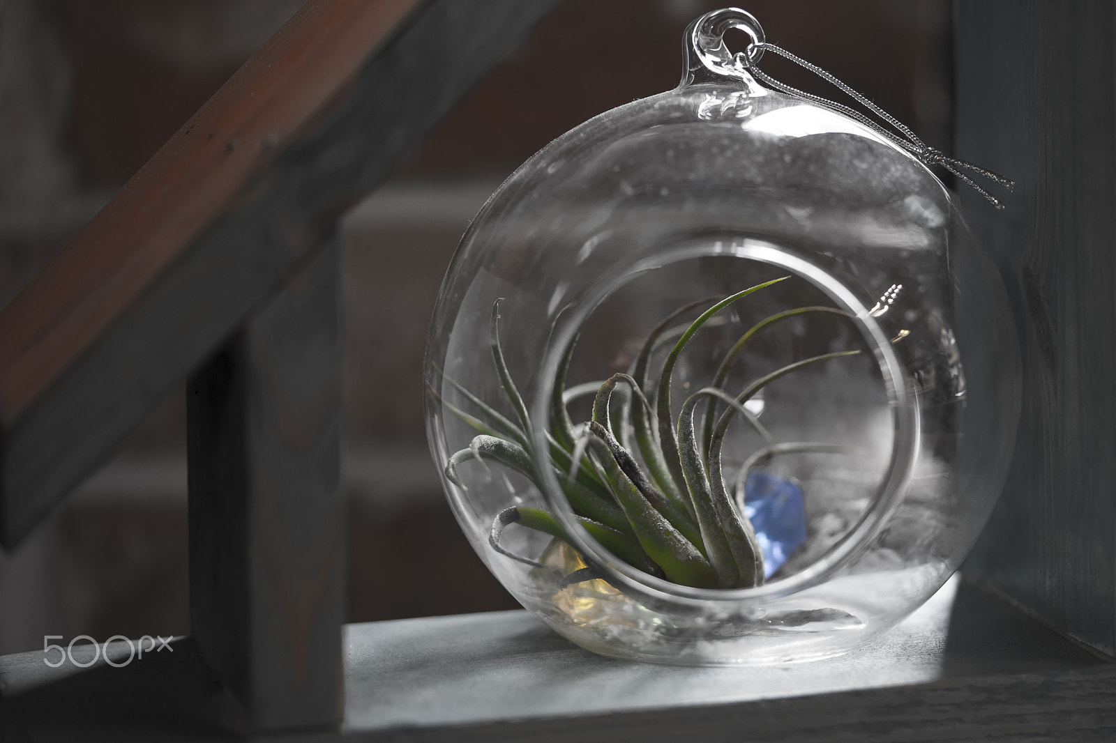 Sony a7 II + Sony FE 90mm F2.8 Macro G OSS sample photo. Floral decoration photography