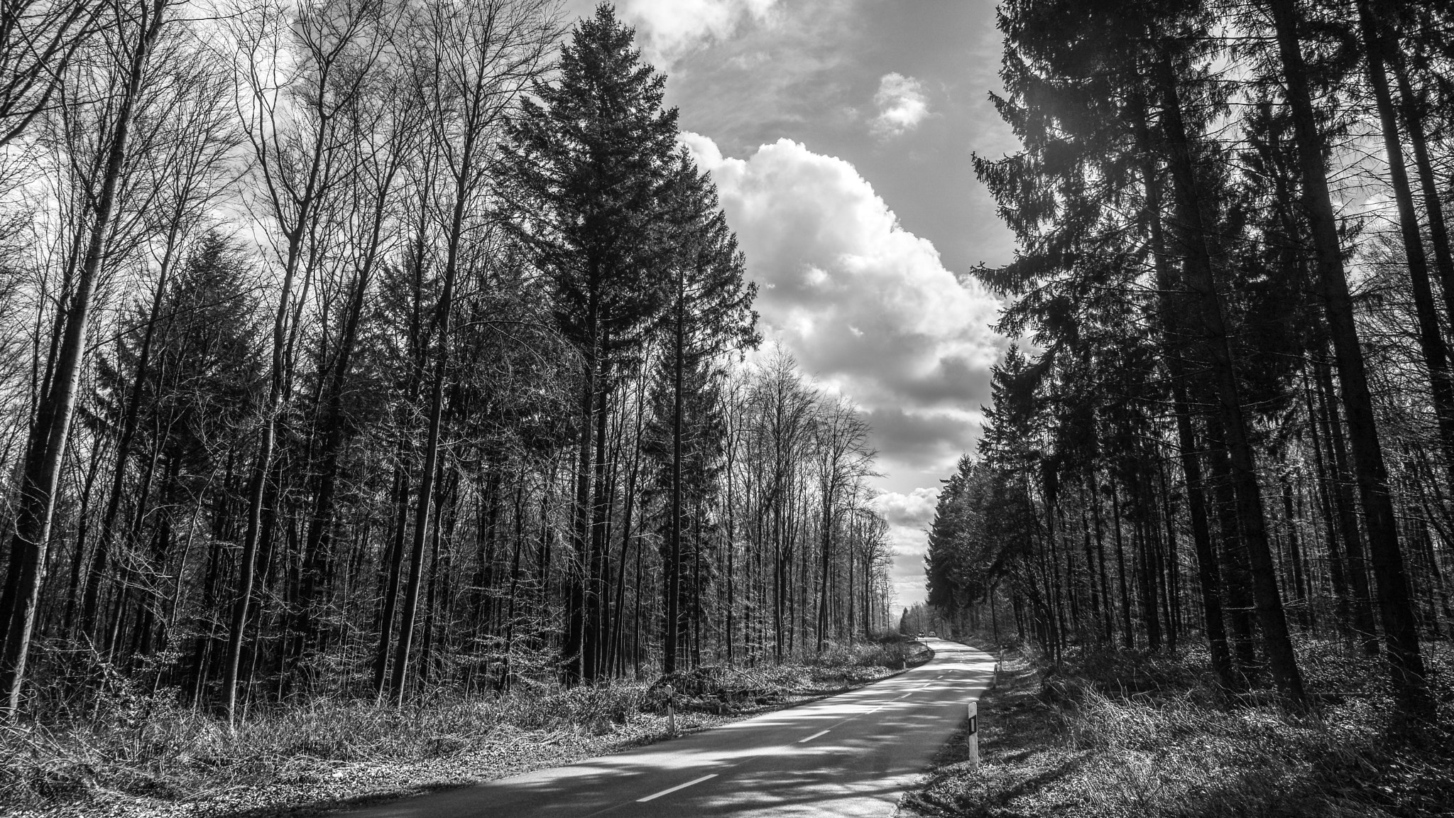 Tokina AT-X Pro 11-16mm F2.8 DX II sample photo. View photography