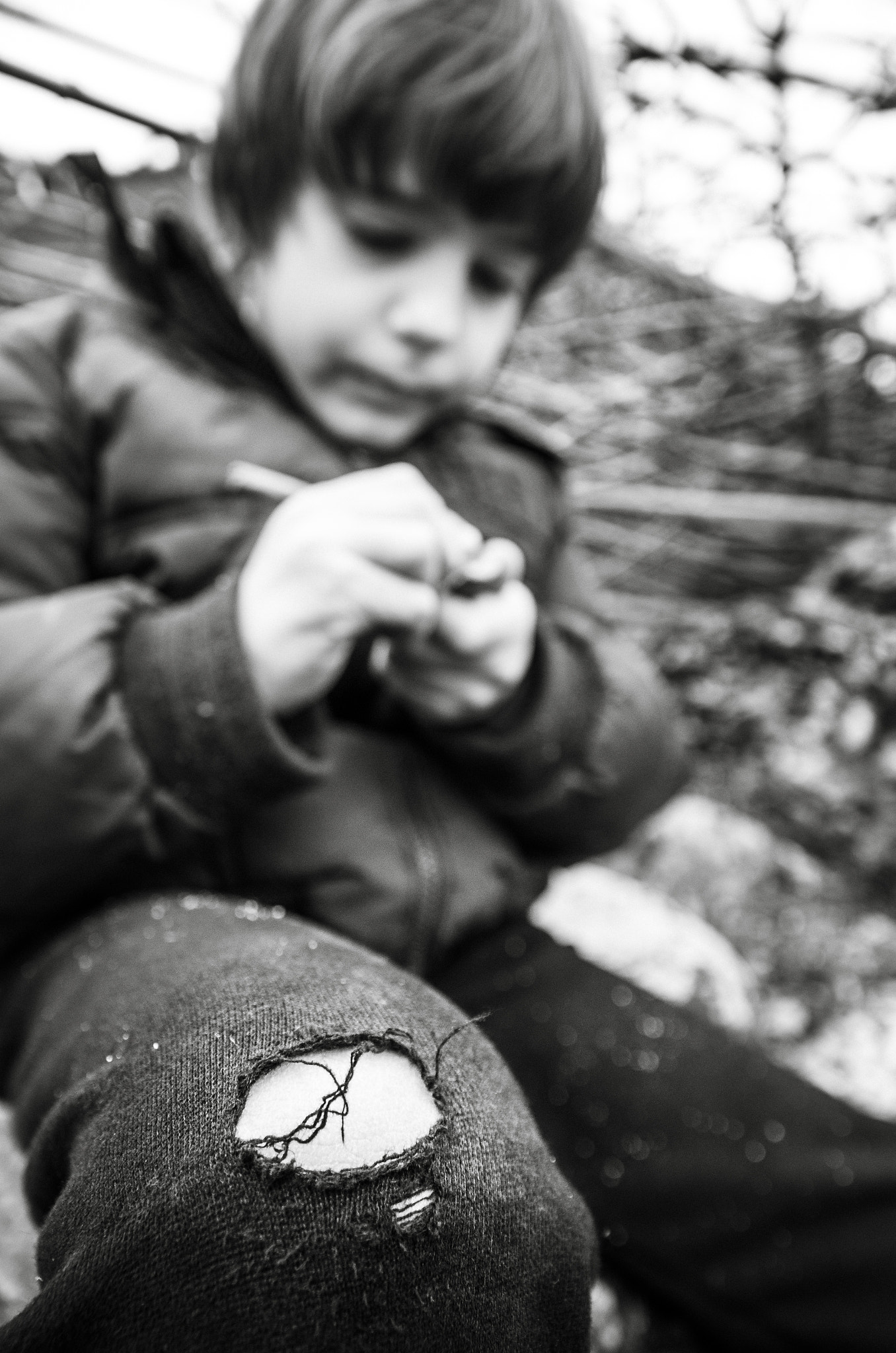 Sigma 17-70mm F2.8-4 DC Macro OS HSM | C sample photo. ... photography