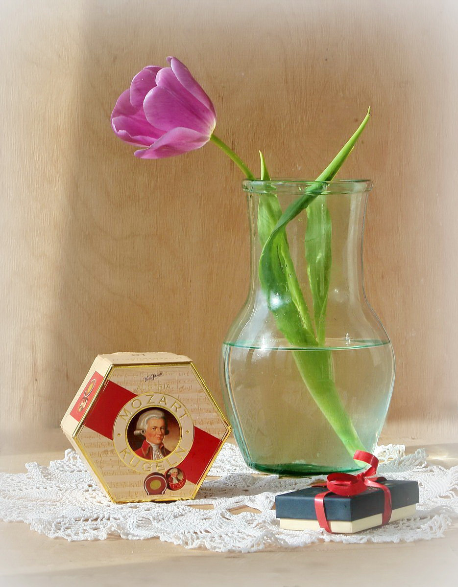 Canon EF-S 55-250mm F4-5.6 IS sample photo. Mozart photography
