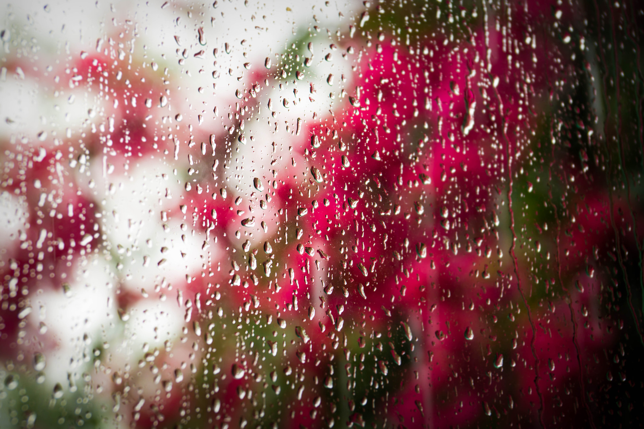 Sony DT 18-135mm F3.5-5.6 SAM sample photo. Raindrops on window photography