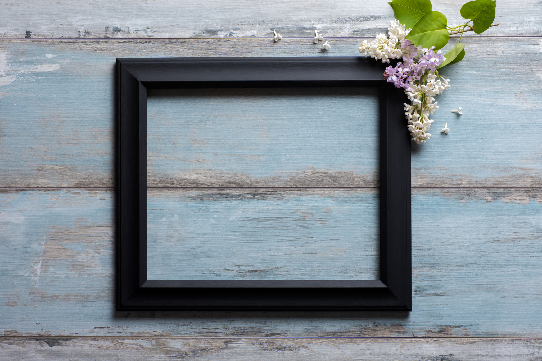 Nikon D810 + Sigma 70mm F2.8 EX DG Macro sample photo. Picture frame with lilac flowers and copy space on blue wooden background photography