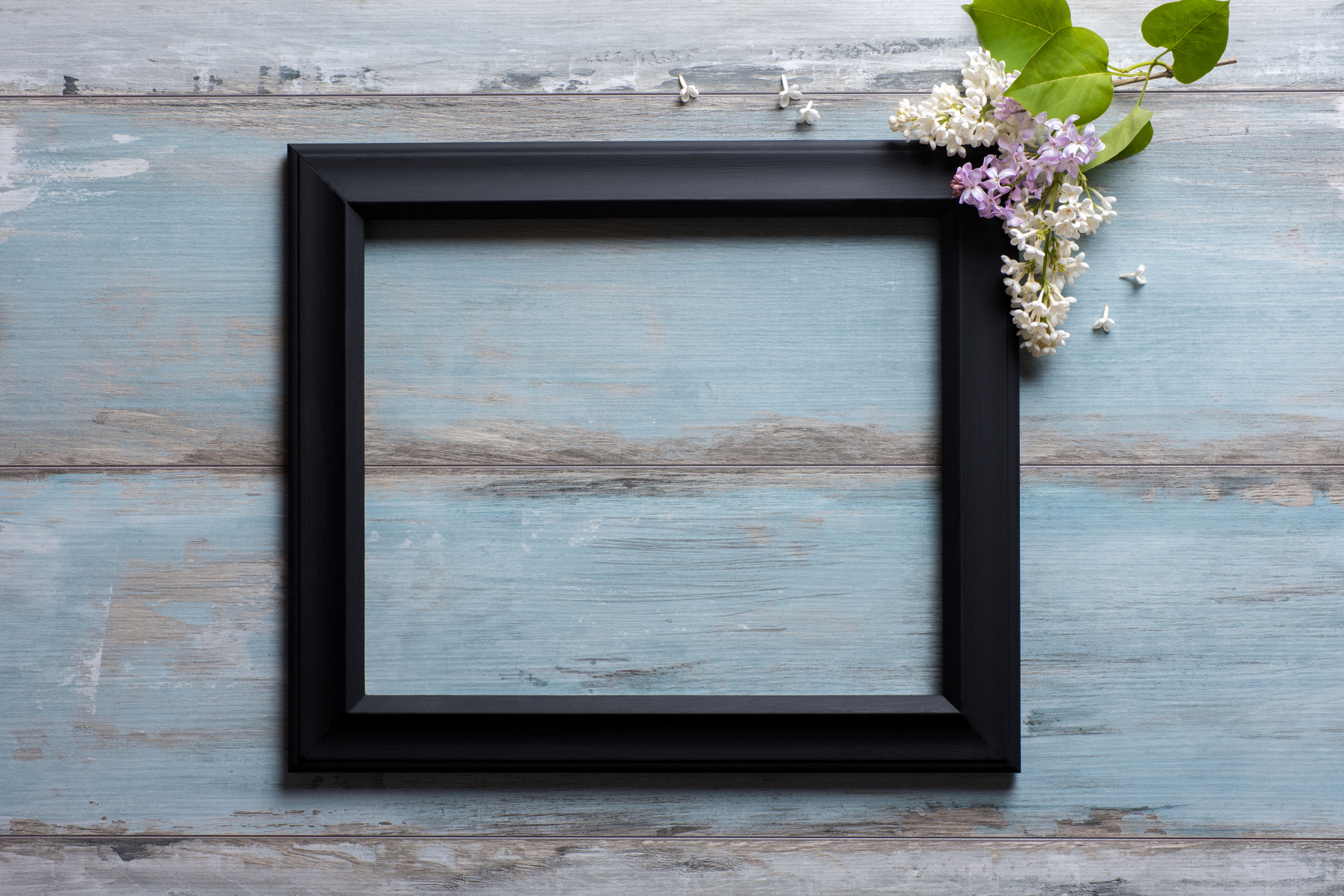 Sigma 70mm F2.8 EX DG Macro sample photo. Picture frame with lilac flowers and copy space on blue wooden background photography