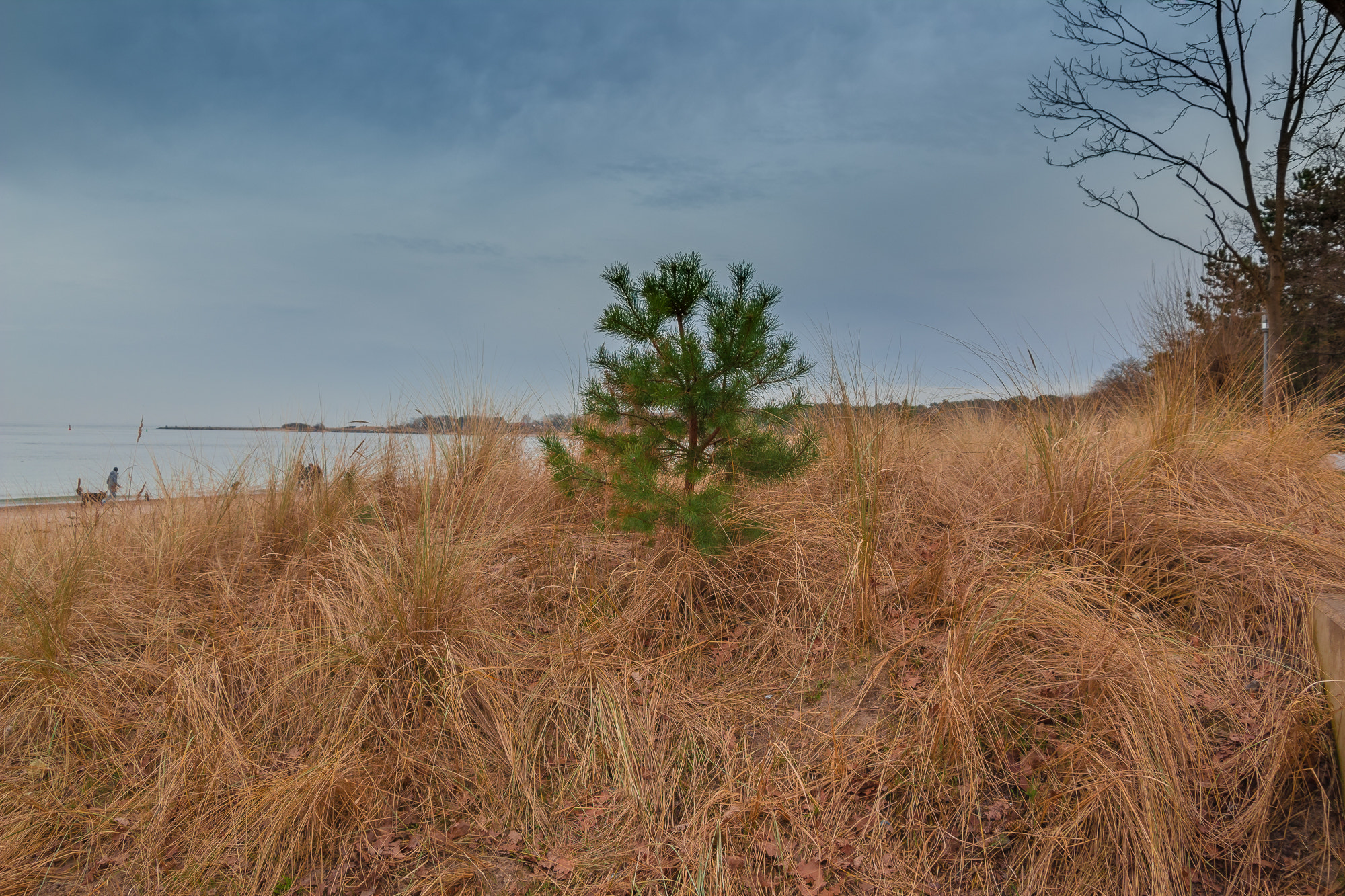Canon TS-E 90mm F2.8 Tilt-Shift sample photo. Timmendorfer strand photography