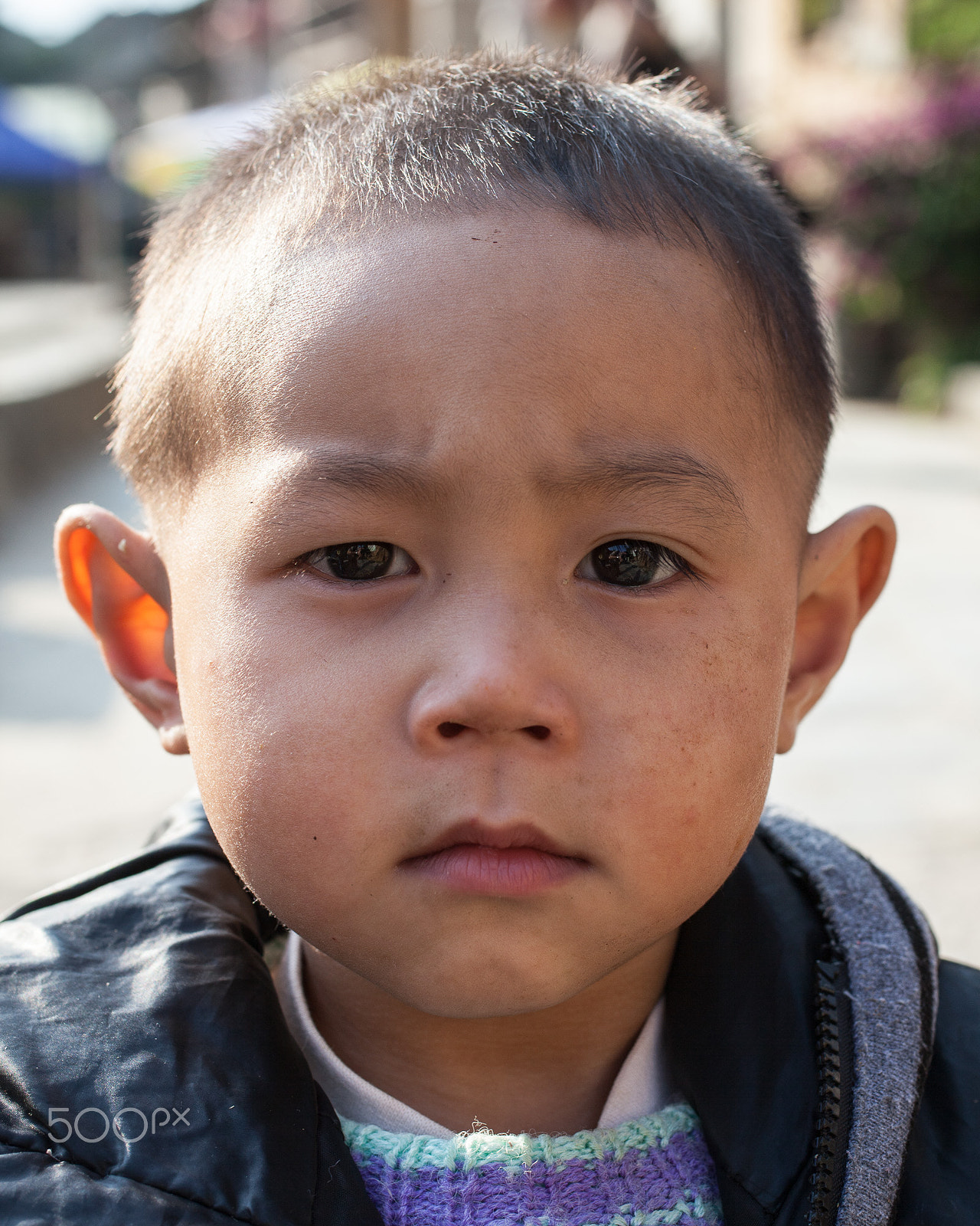 Canon EF 50mm F2.5 Macro sample photo. Pxnovd mark ii photography