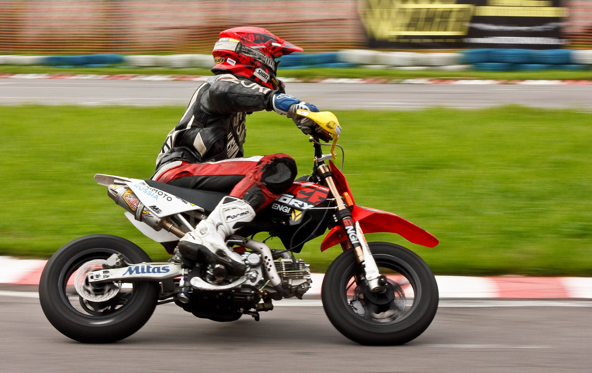 Canon EF 75-300mm f/4-5.6 USM sample photo. Yansun photography