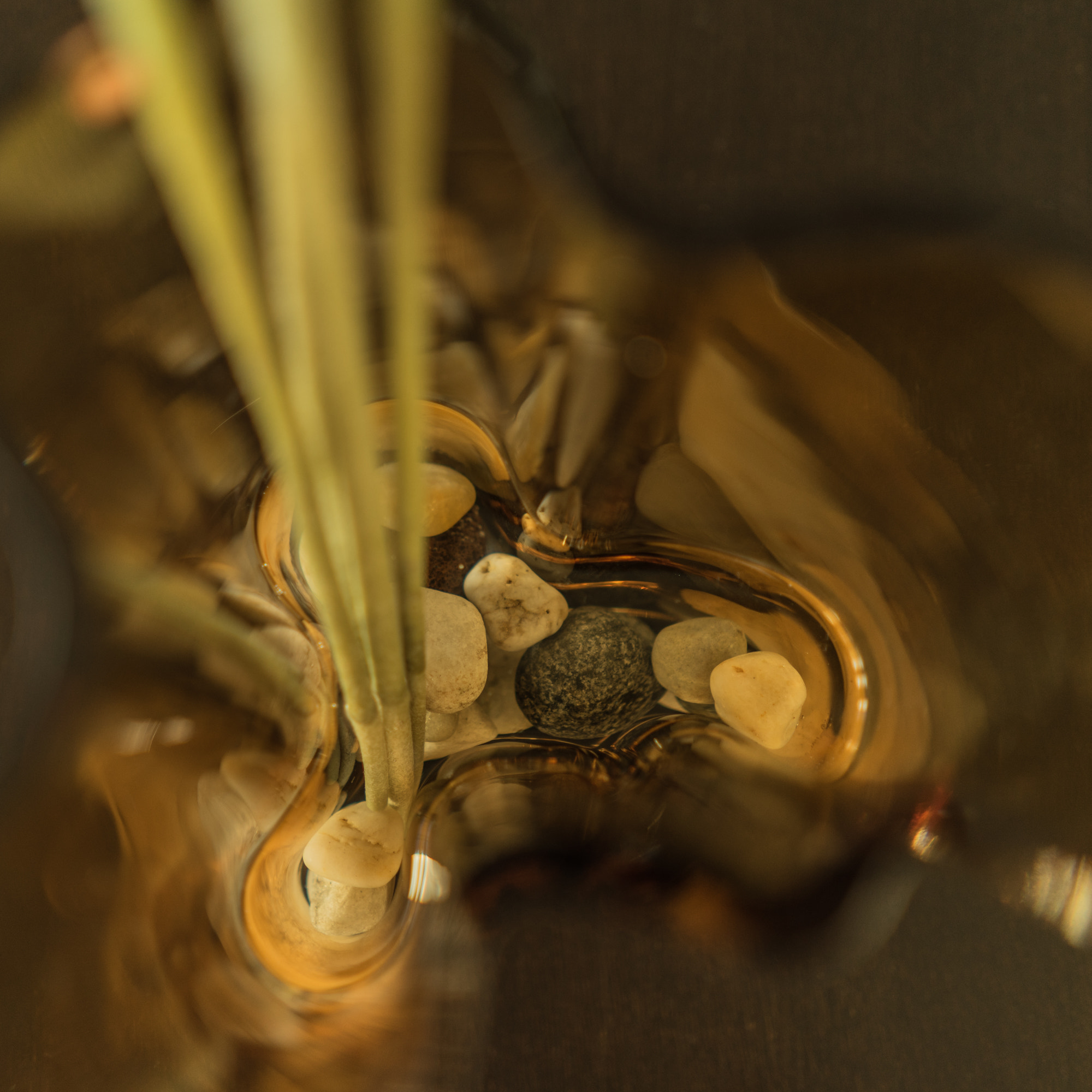 Sony FE 28mm F2 sample photo. Avaa aalto vase photography