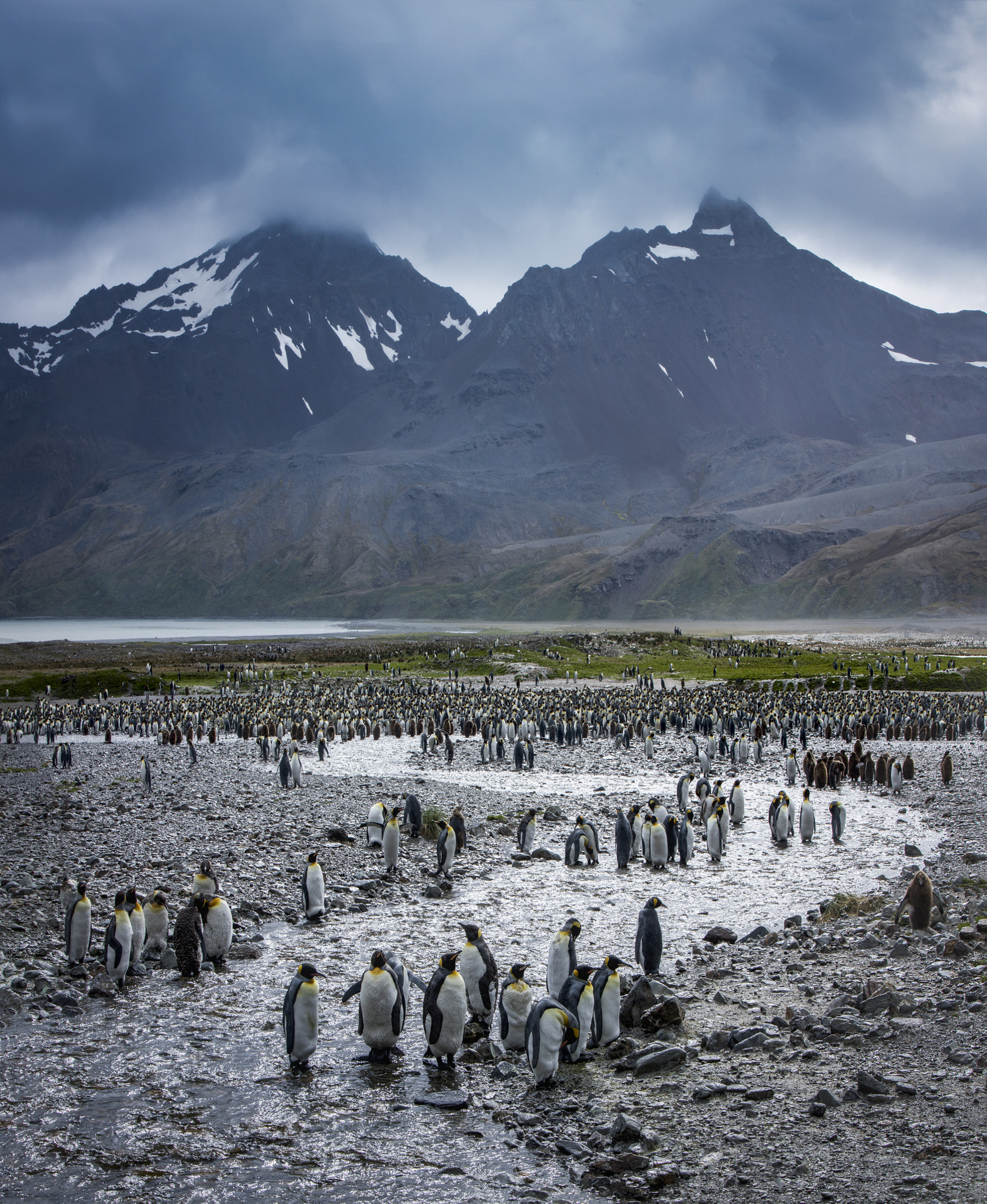 Canon EF 70-200mm F2.8L IS USM sample photo. Flightless fantasy photography