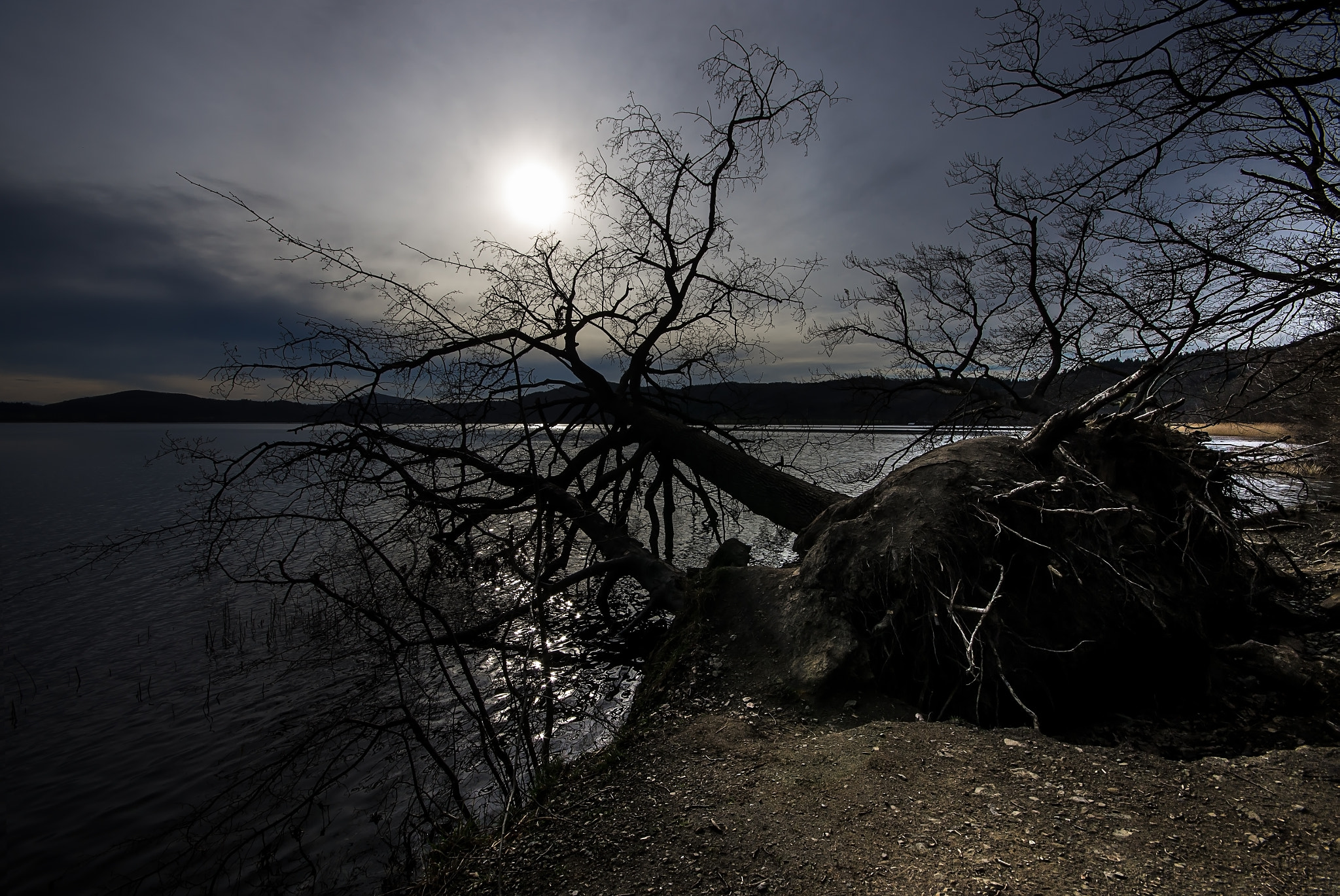 Sigma AF 10-20mm F4-5.6 EX DC sample photo. The fallen photography