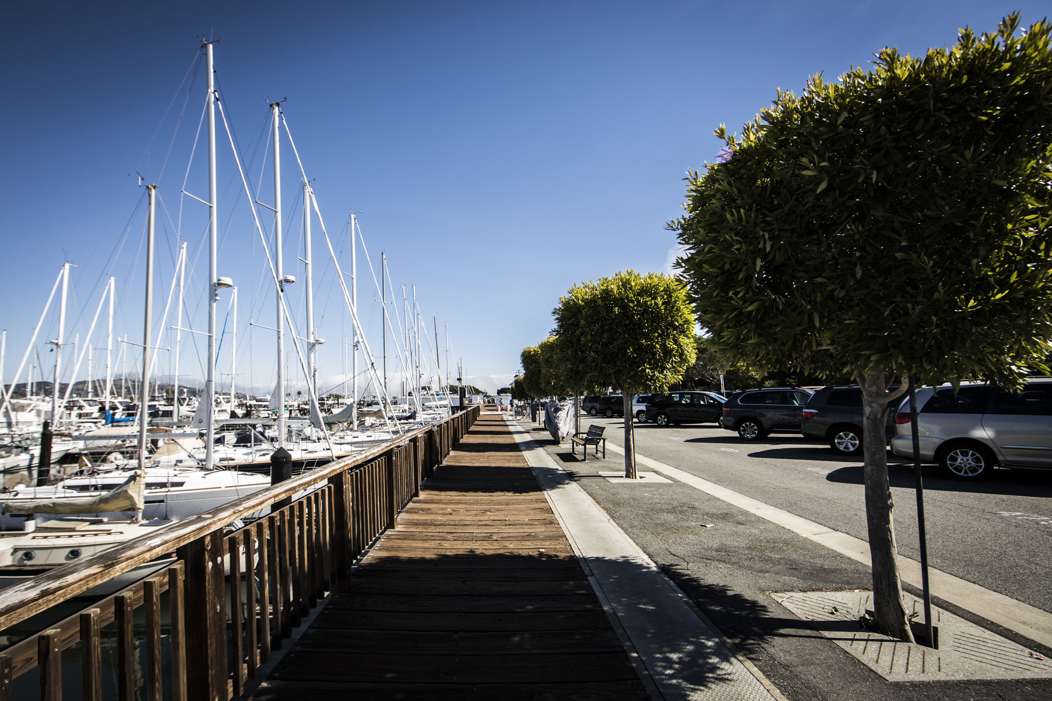 Canon EF 14mm F2.8L II USM sample photo. San francisco 2016 photography