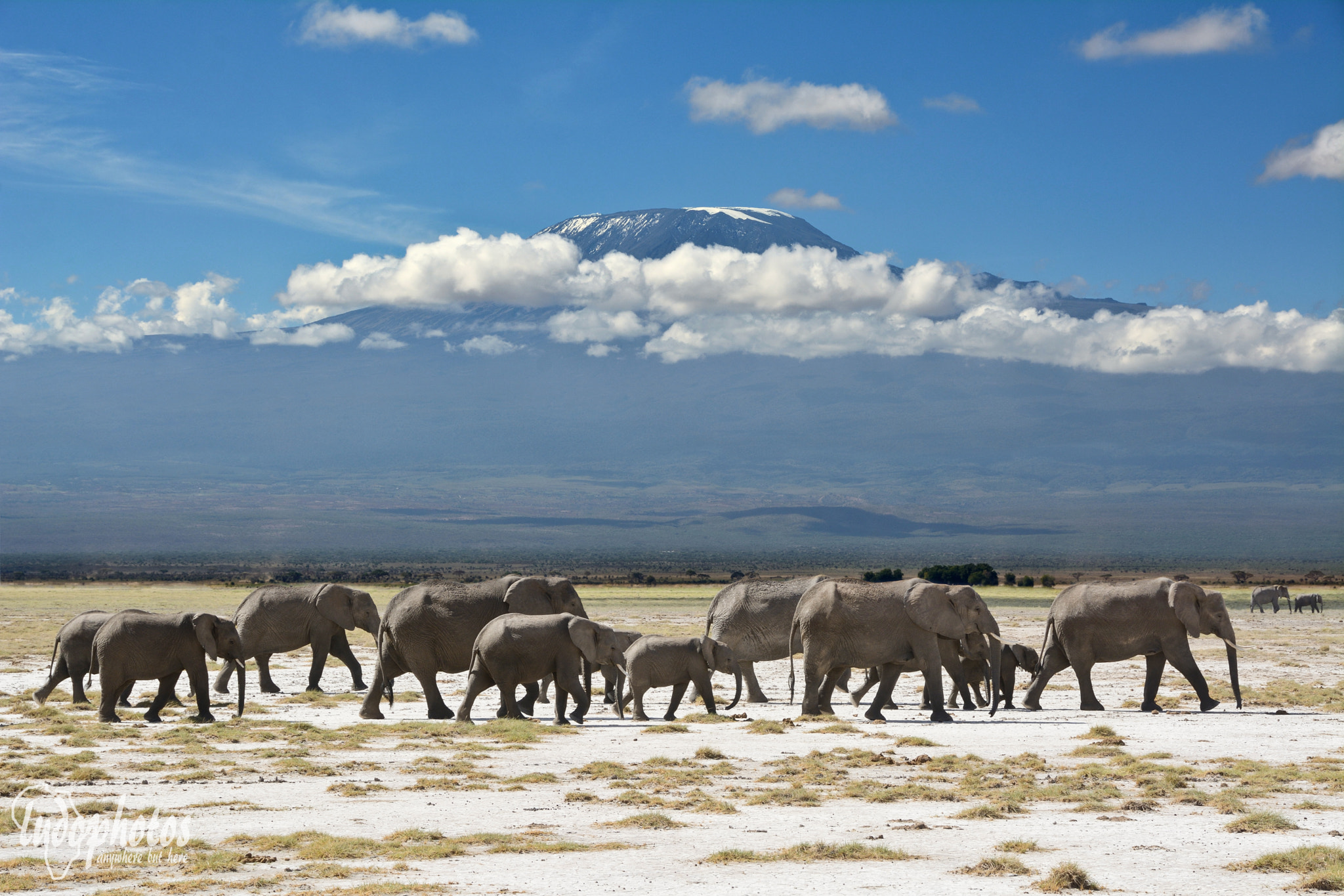 Sigma 70-300mm F4-5.6 APO DG Macro sample photo. The elephants' march photography