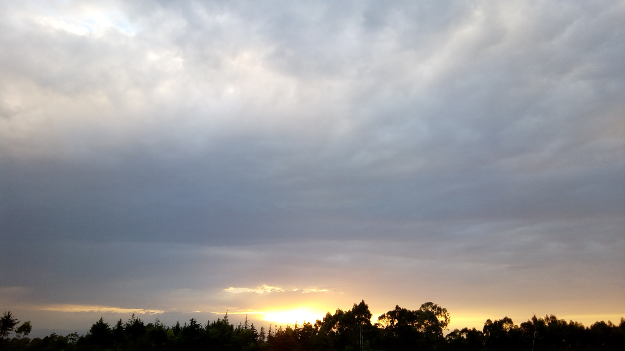Infinix HOT 4 sample photo