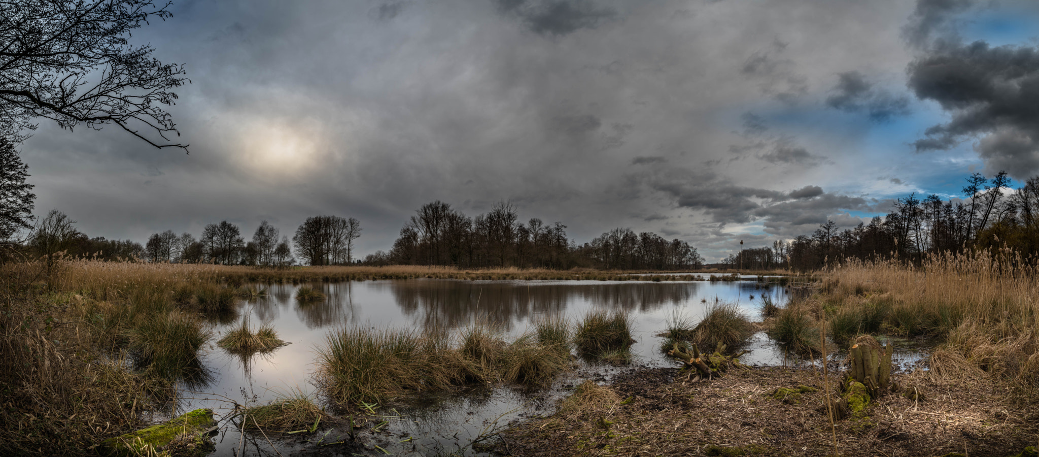 Pentax K-1 sample photo. A stormy day in the floodlands photography