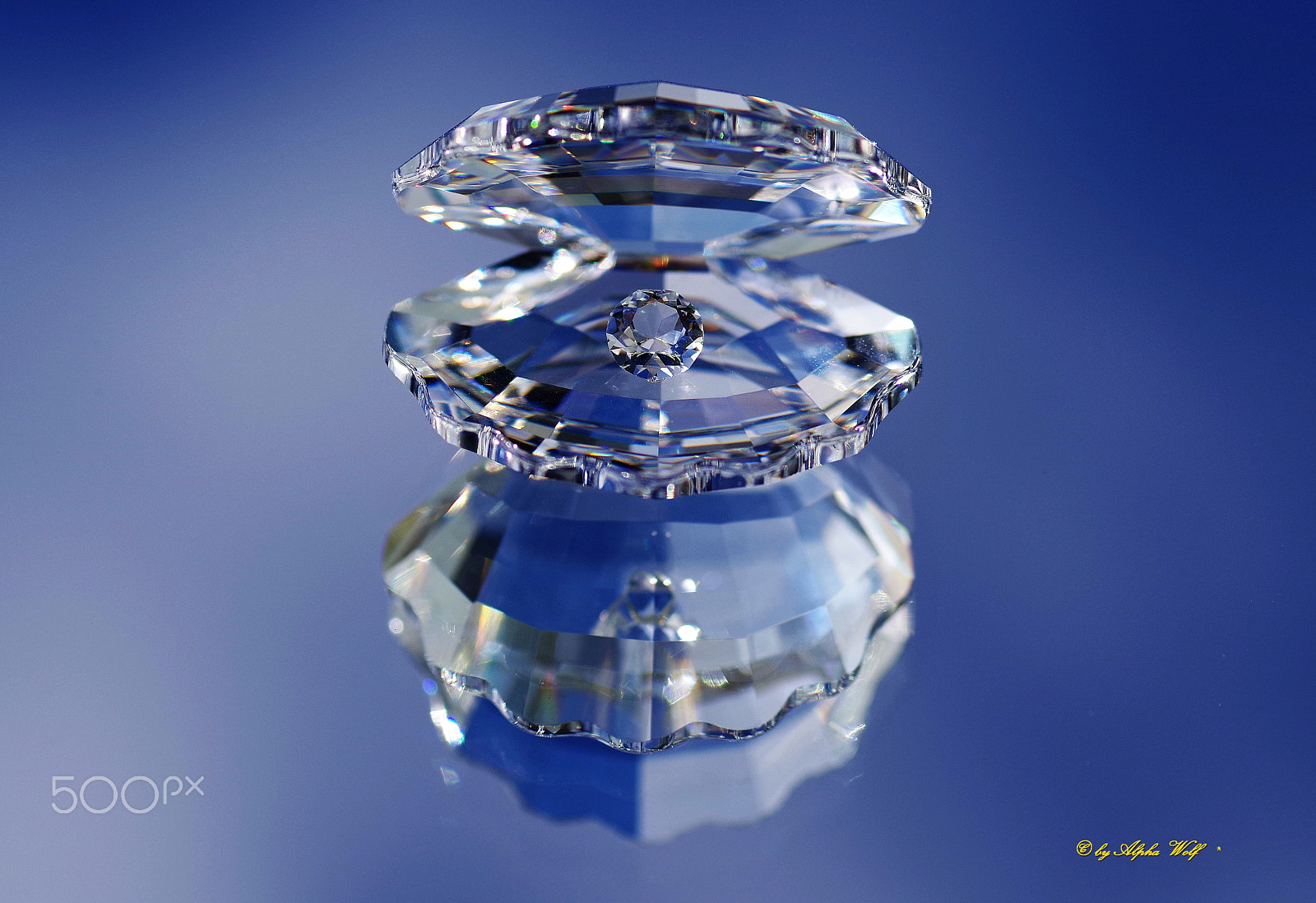 Pentax smc D-FA 100mm F2.8 Macro WR sample photo. Pearl photography