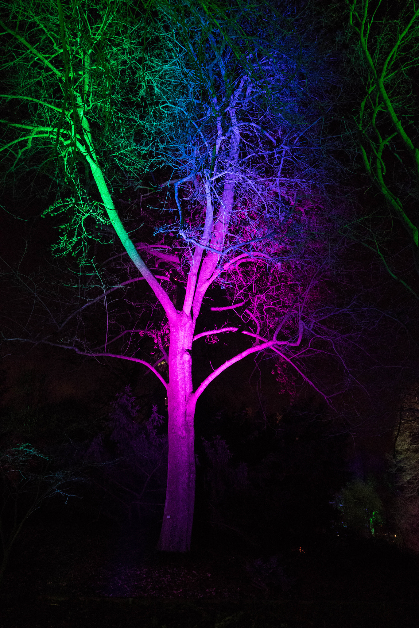 Canon EF 16-35mm F4L IS USM sample photo. Illumination photography