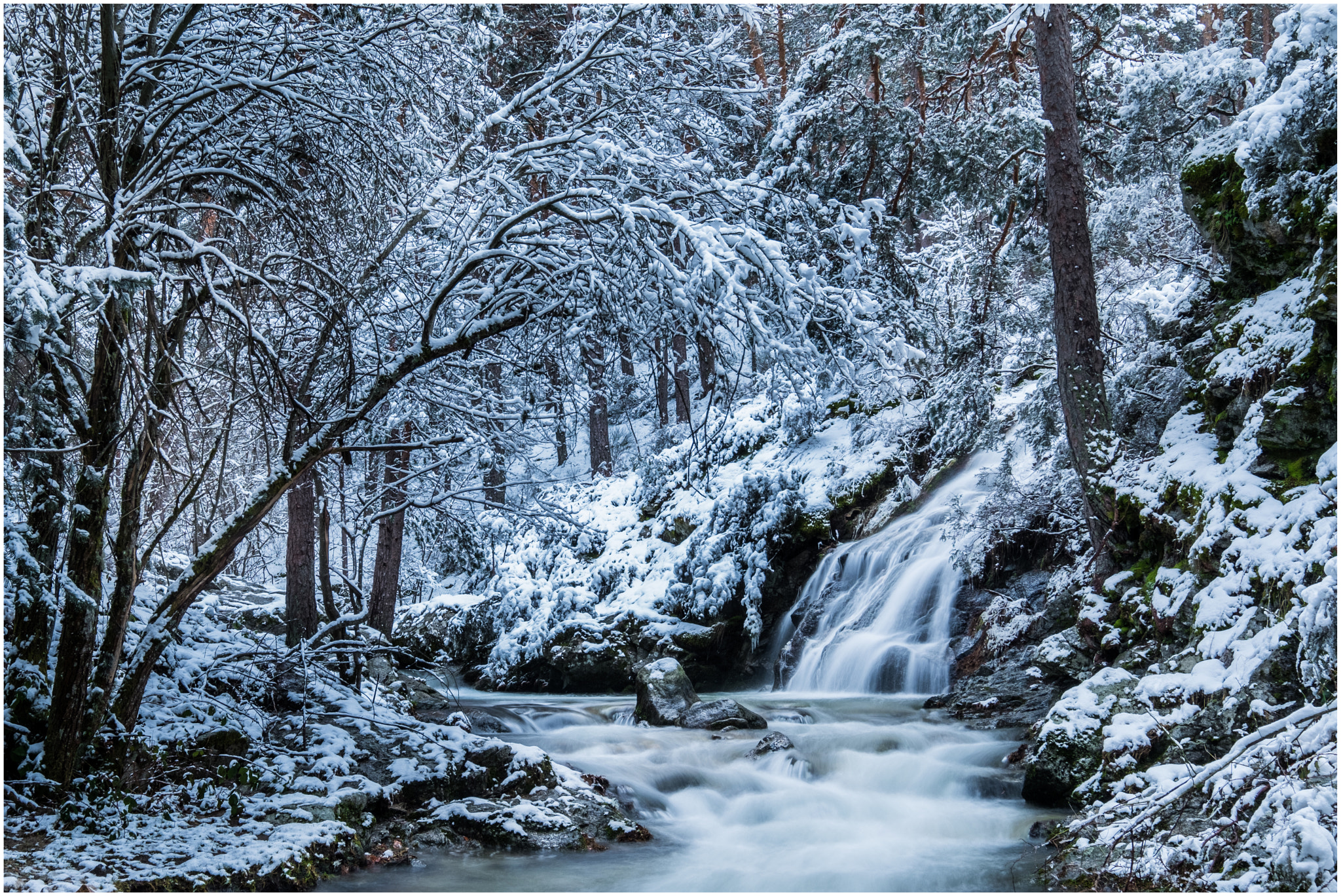 Fujifilm X-Pro2 + Fujifilm XF 10-24mm F4 R OIS sample photo. Whater tree and snow 1 photography
