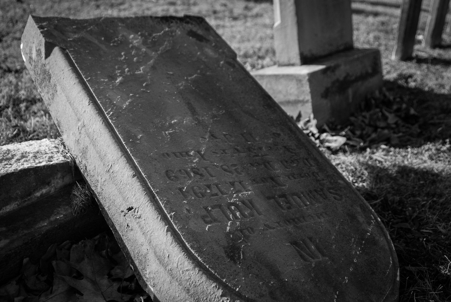 Nikon D200 sample photo. Toppled photography