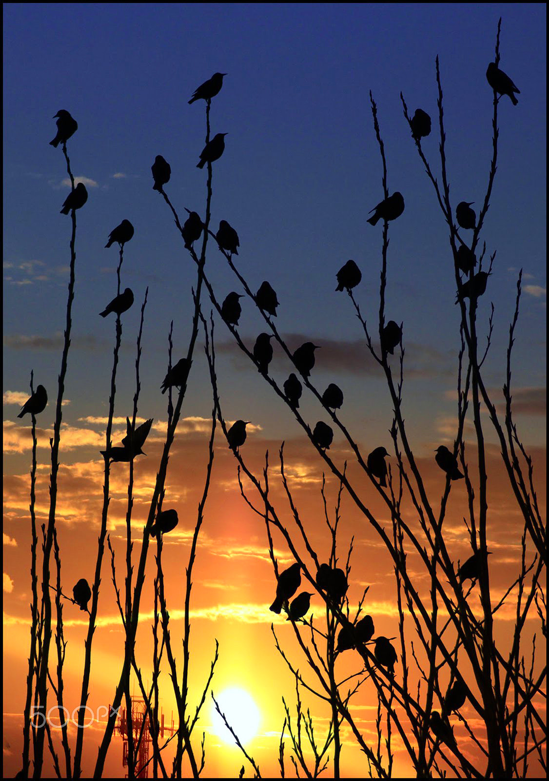 Canon EF 75-300mm f/4-5.6 USM sample photo. Storni al tramonto, photography