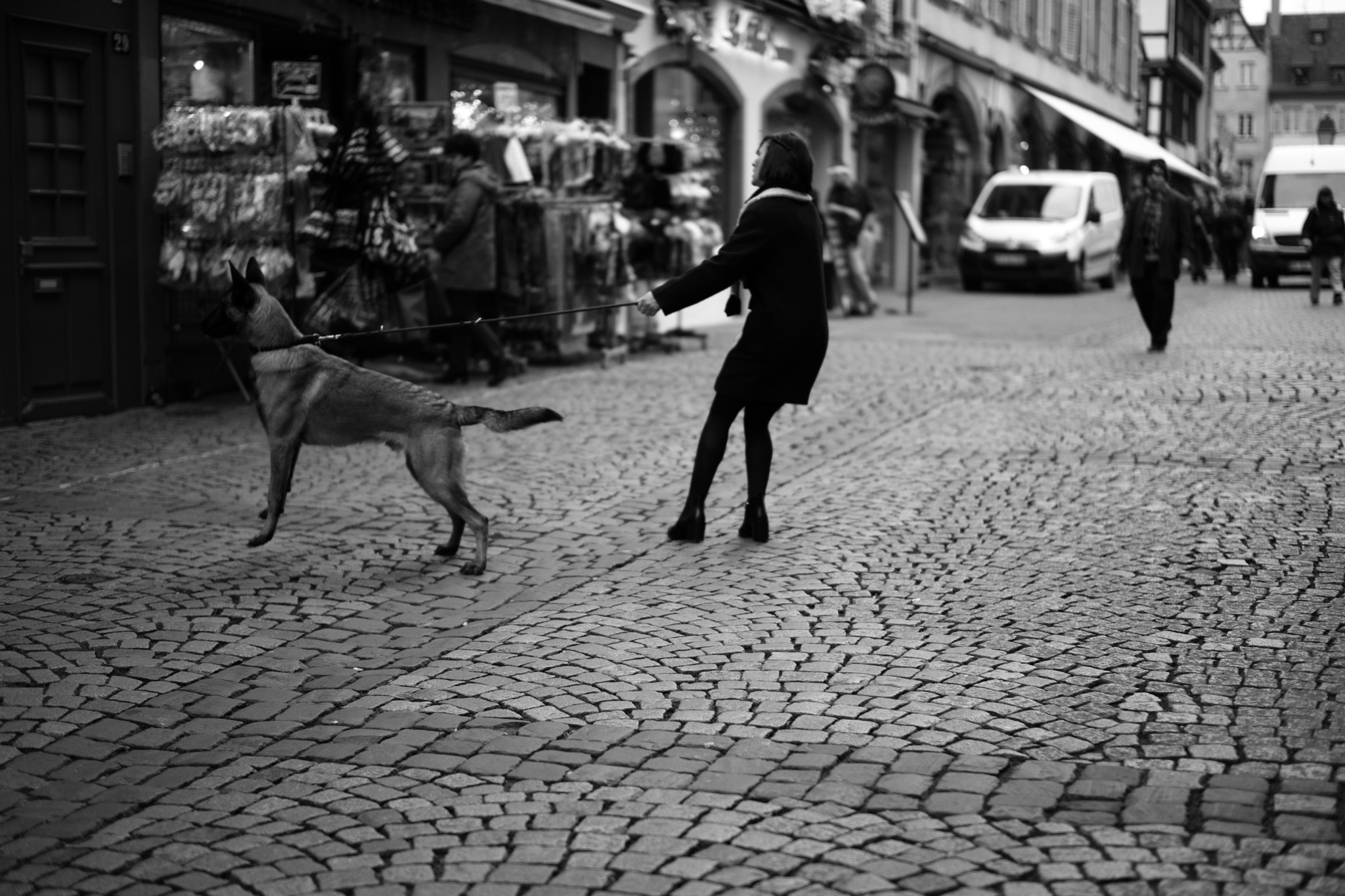 Leica Summilux-M 50mm F1.4 ASPH sample photo. Strasbourg photography