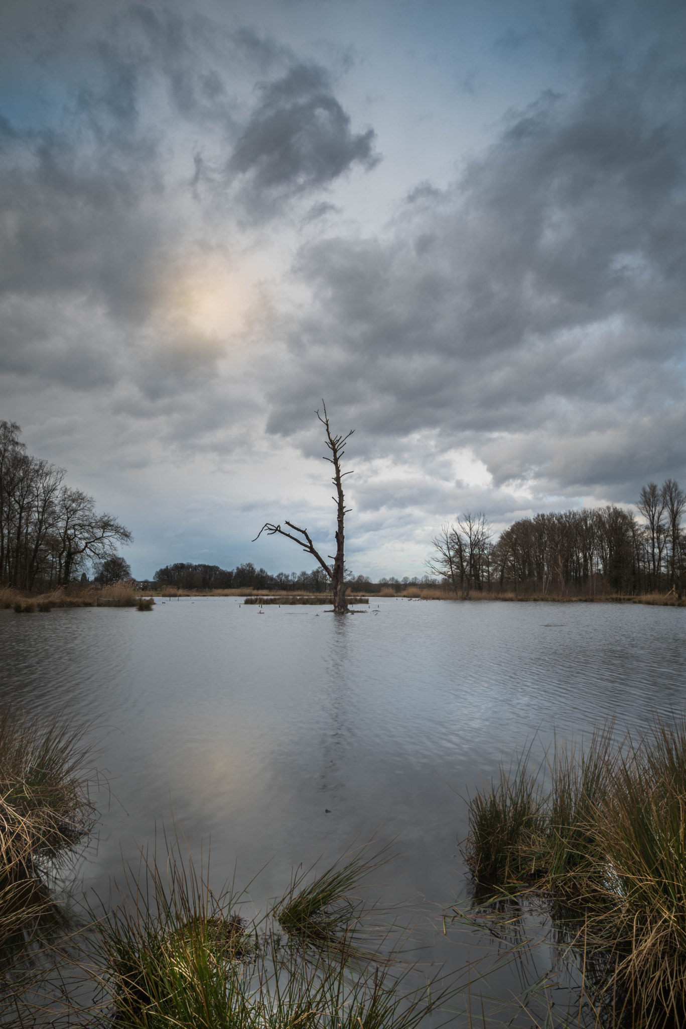 Sigma 20mm F1.8 EX DG Aspherical RF sample photo. Dead but beautyful photography