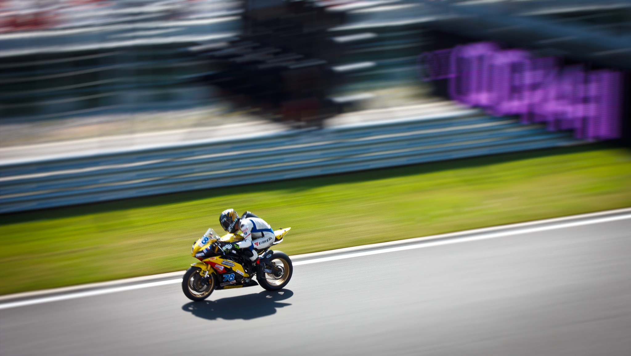 Canon EF 75-300mm f/4-5.6 USM sample photo. Yansun photography