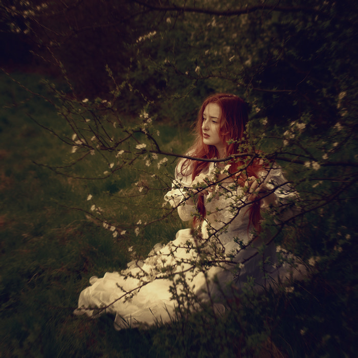 Canon EF 35-80mm f/4-5.6 sample photo. By sesharin photography