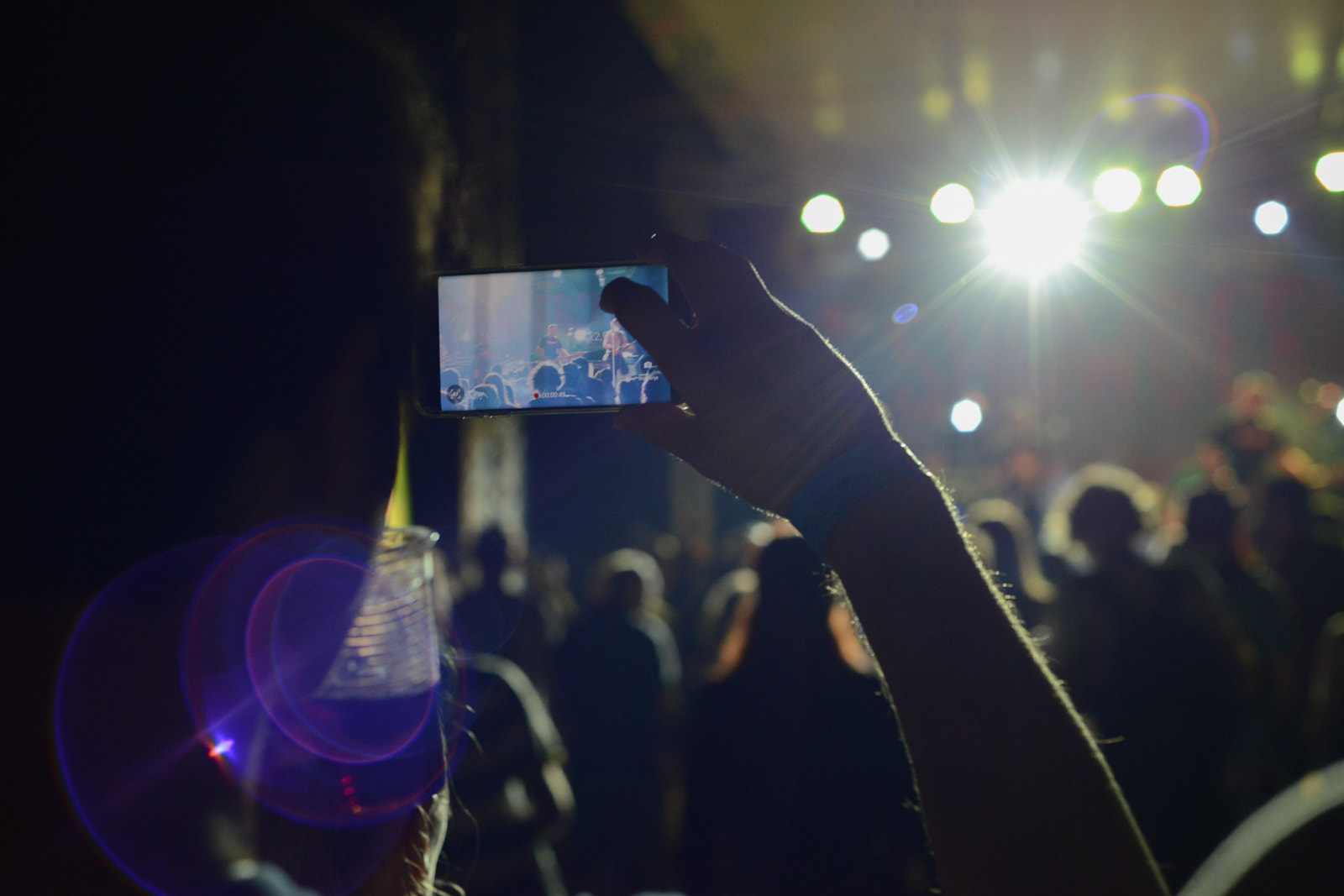 Nikon D800 + Nikon AF Nikkor 50mm F1.8D sample photo. Showderica festival 2016 photography