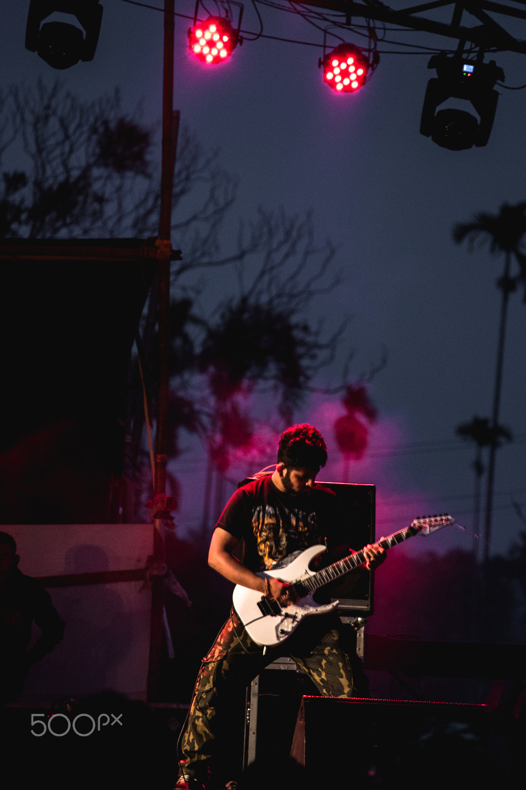 Nikon D5500 sample photo. The rockstar photography