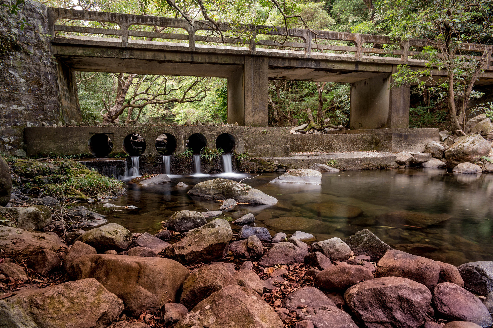 Samsung NX 16mm F2.4 Pancake sample photo. Shing mun reservoir photography