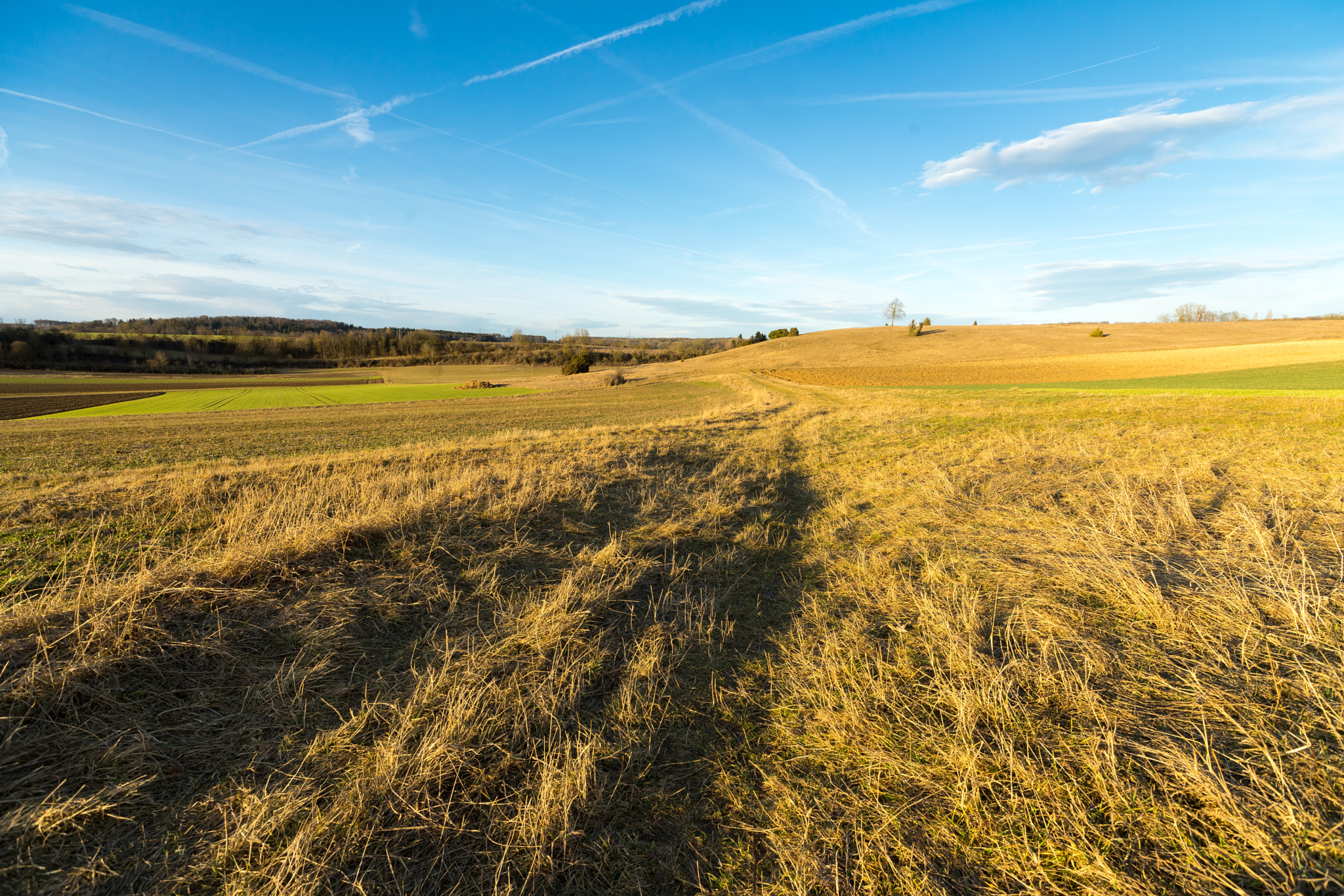 Sony Vario-Sonnar T* 16-35mm F2.8 ZA SSM II sample photo. Dsc photography