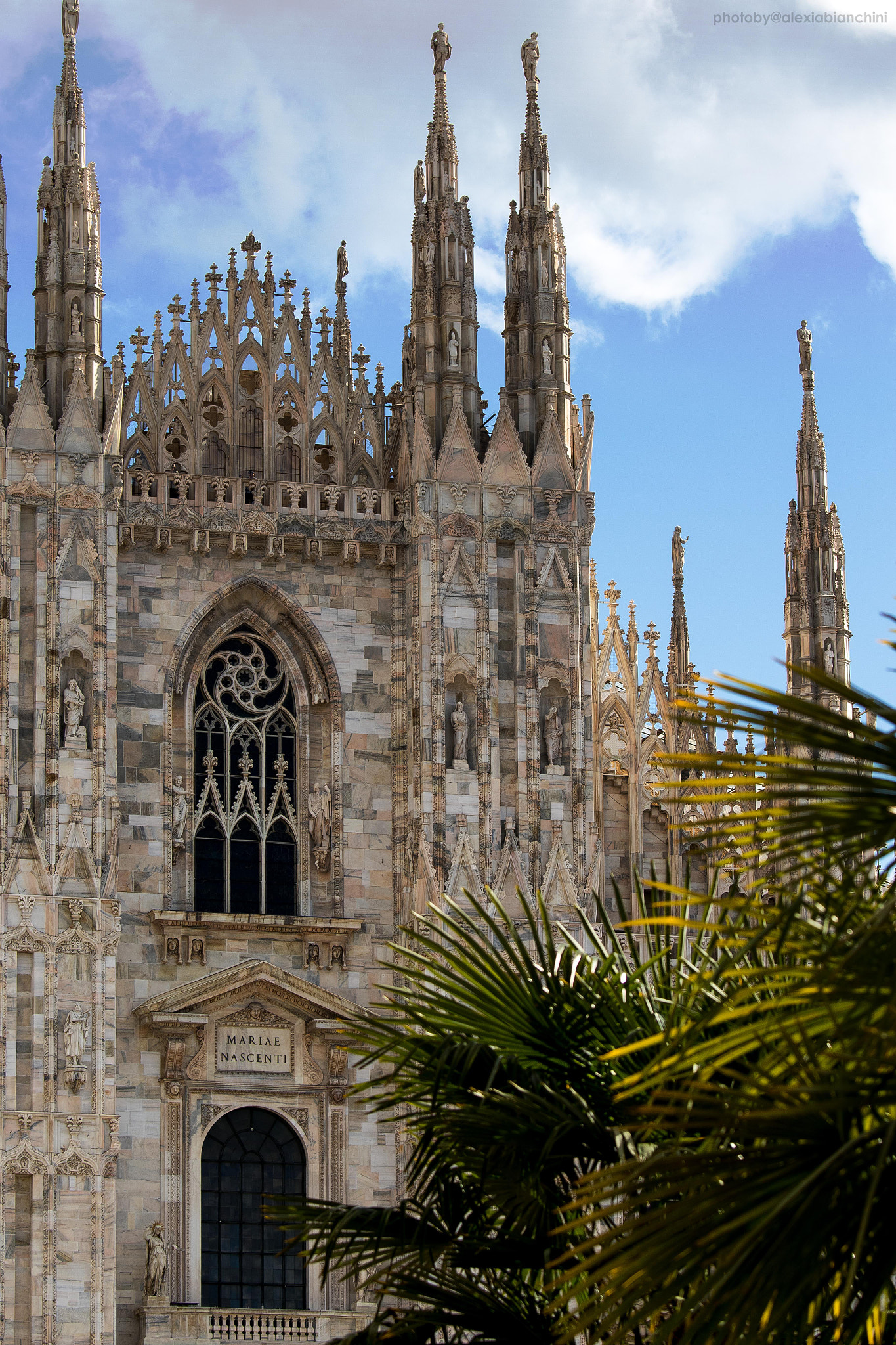 Canon EF 70-200mm F4L IS USM sample photo. Palms in duomo photography