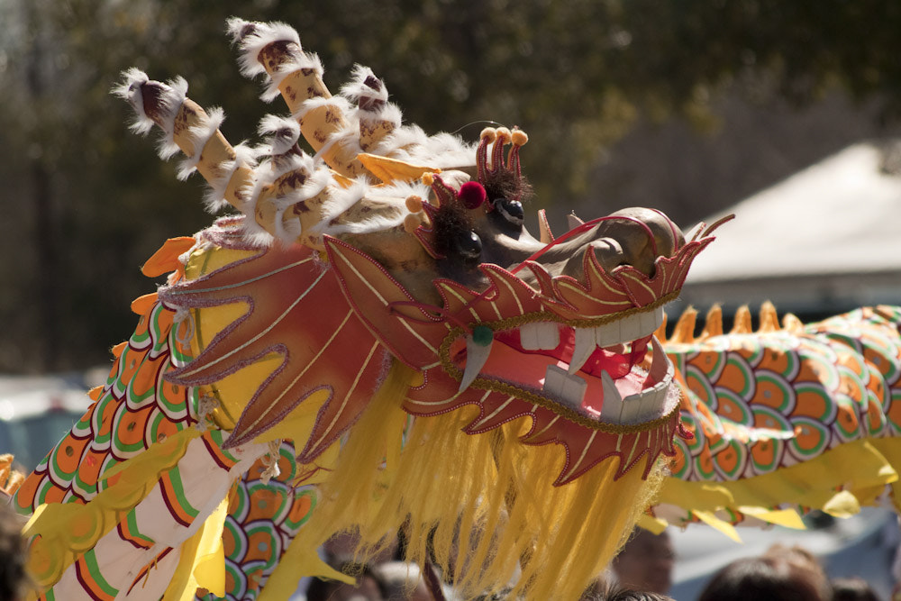 Canon EF 70-300mm F4-5.6 IS USM sample photo. Mg photography