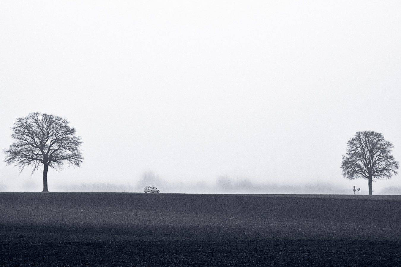 HD Pentax DA 55-300mm F4.0-5.8 ED WR sample photo. Hesbaye photography