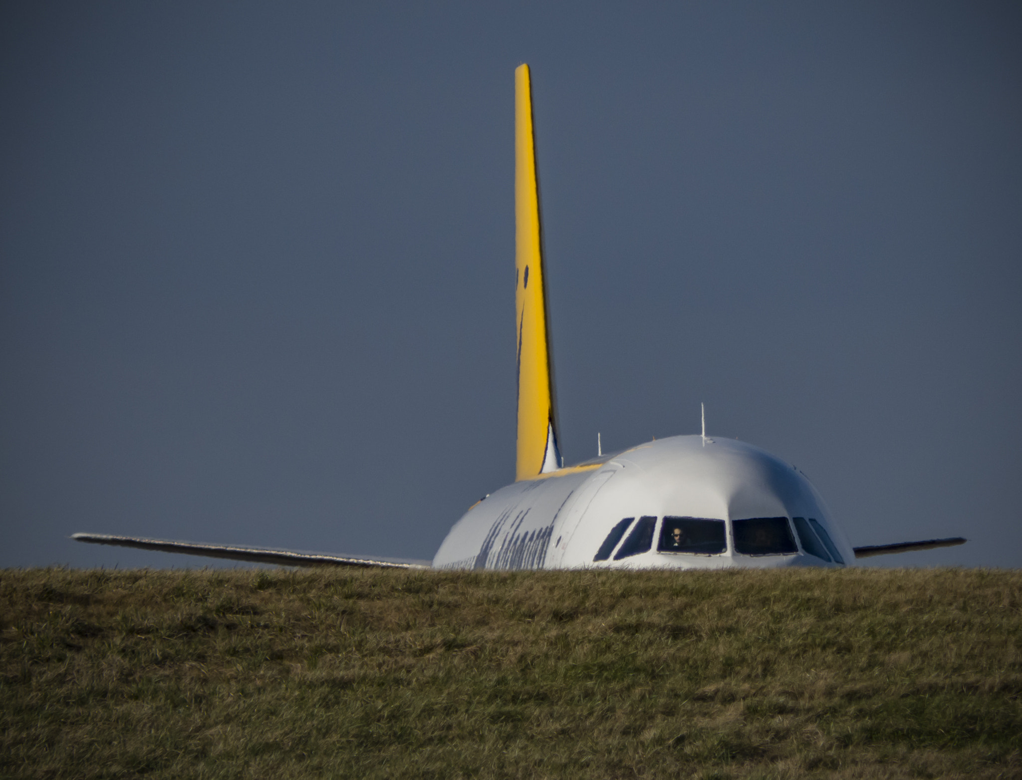 Panasonic Lumix G Vario 45-200mm F4-5.6 OIS sample photo. The monarch pilot photography