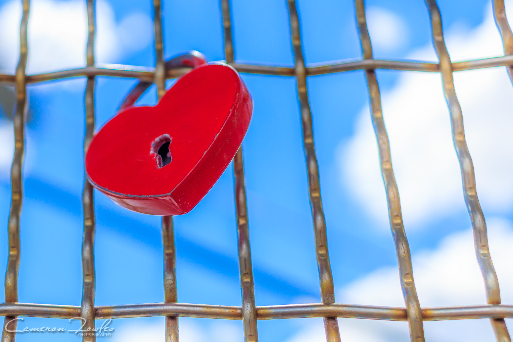 Canon EF-S 24mm F2.8 STM sample photo. Exploring brisbane photography