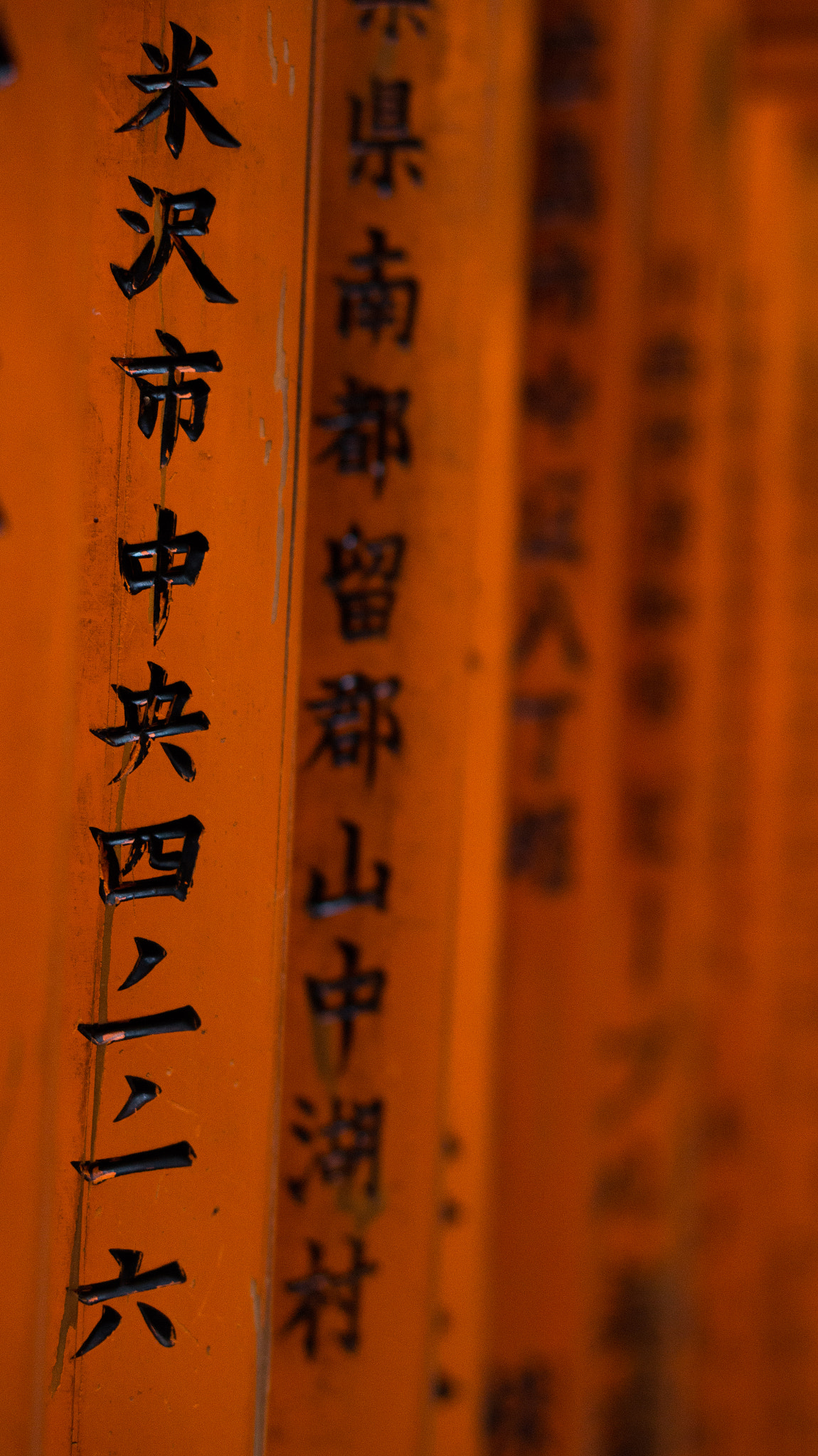 Sony Alpha a5000 (ILCE 5000) + E 50mm F1.8 OSS sample photo. Inari photography