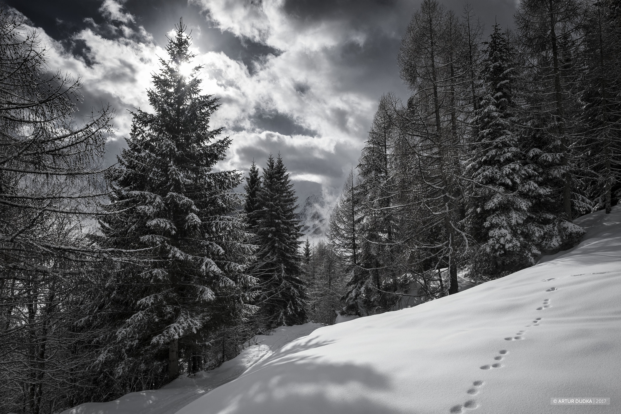 Fujifilm X-T1 + Fujifilm XF 14mm F2.8 R sample photo. Footsteps in val gerola photography