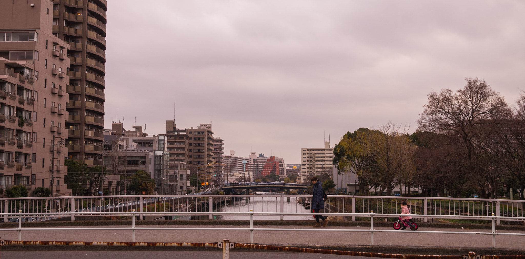 Sigma 30mm F2.8 EX DN sample photo. Walk of life photography