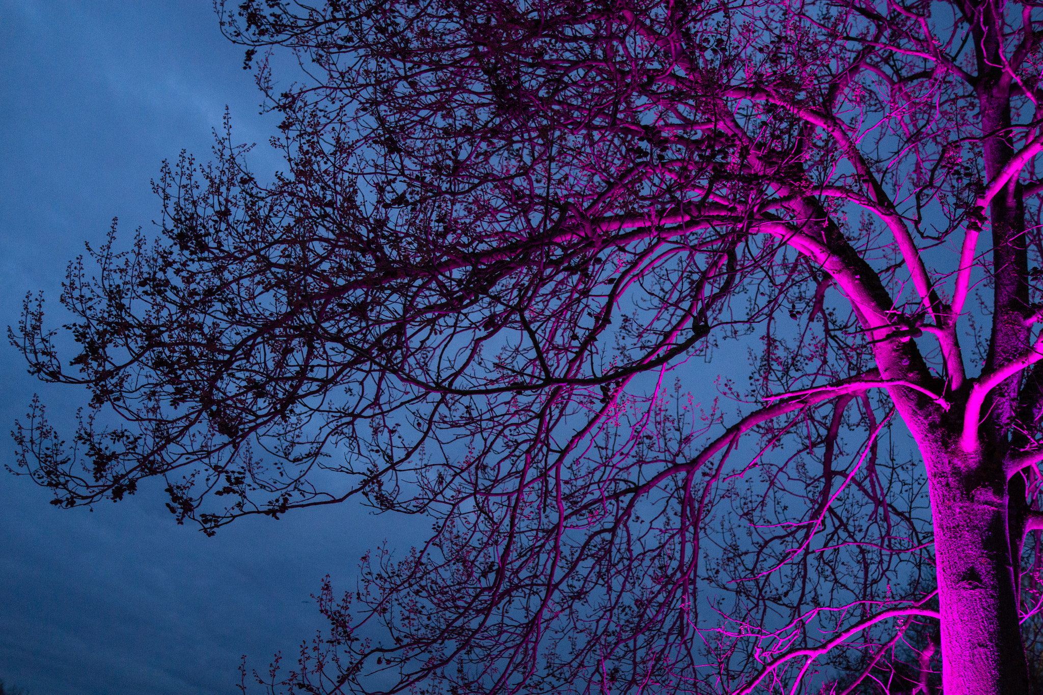 Sony Cyber-shot DSC-RX1 + 35mm F2.0 sample photo. Früher war mehr magenta photography